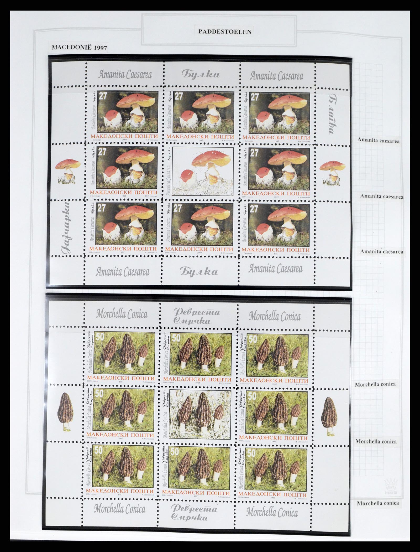 37299 0026 - Stamp collection 37299 Thematic Fauna 1950-2000.