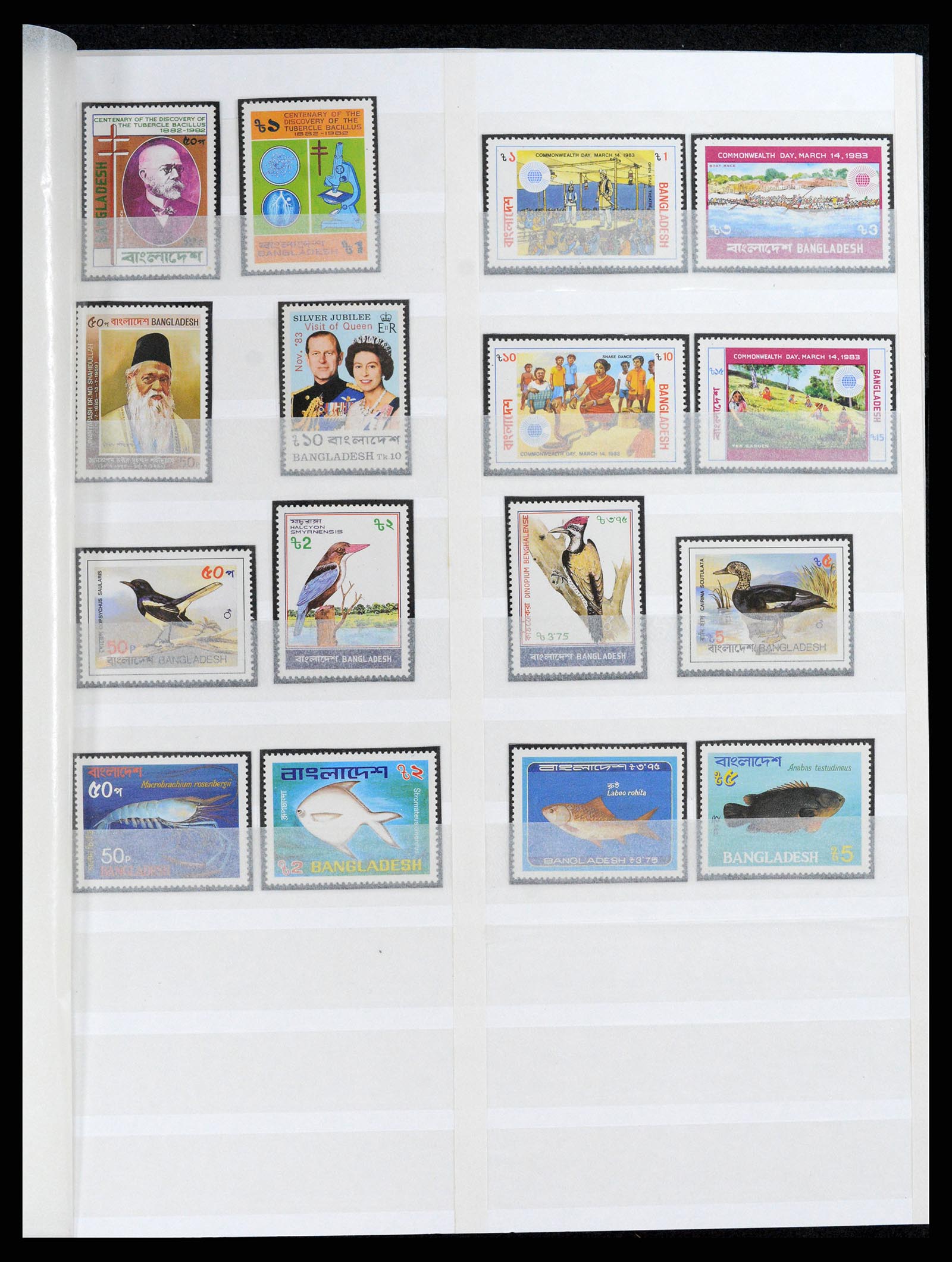 37311 014 - Postzegelverzameling 37311 Azië t/m 2017.