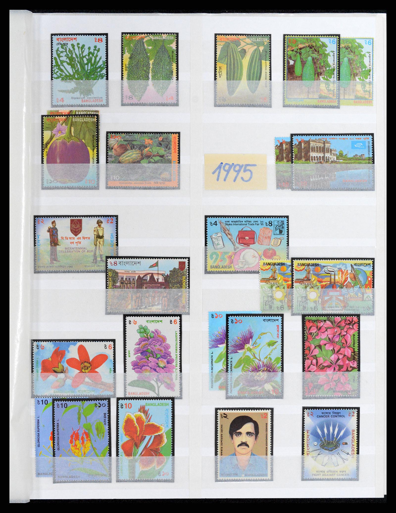 37311 028 - Postzegelverzameling 37311 Azië t/m 2017.