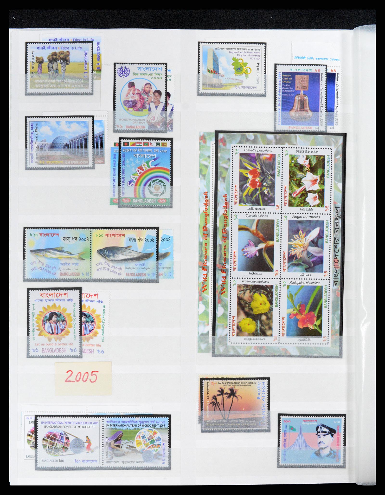 37311 041 - Postzegelverzameling 37311 Azië t/m 2017.