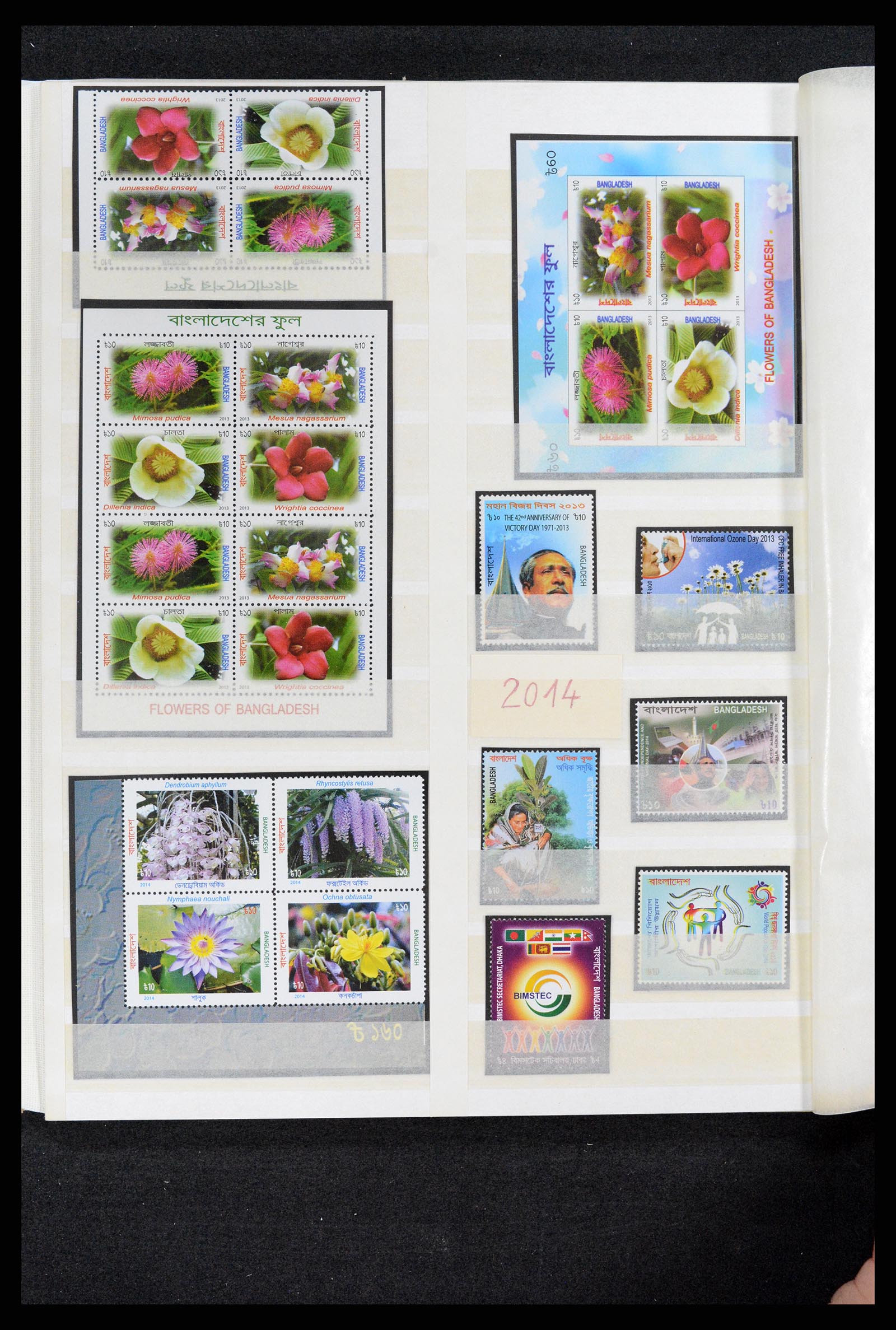 37311 051 - Postzegelverzameling 37311 Azië t/m 2017.