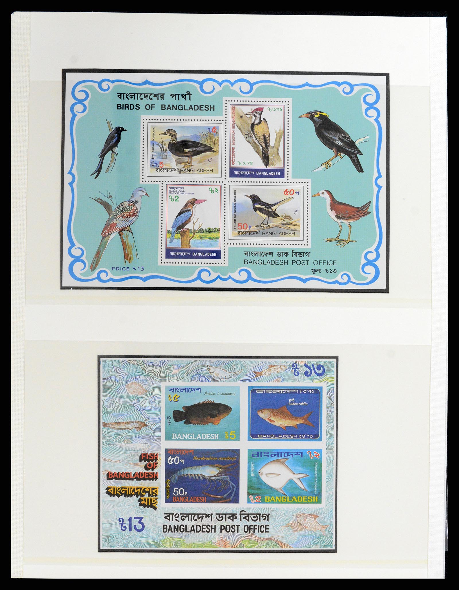 37311 068 - Postzegelverzameling 37311 Azië t/m 2017.