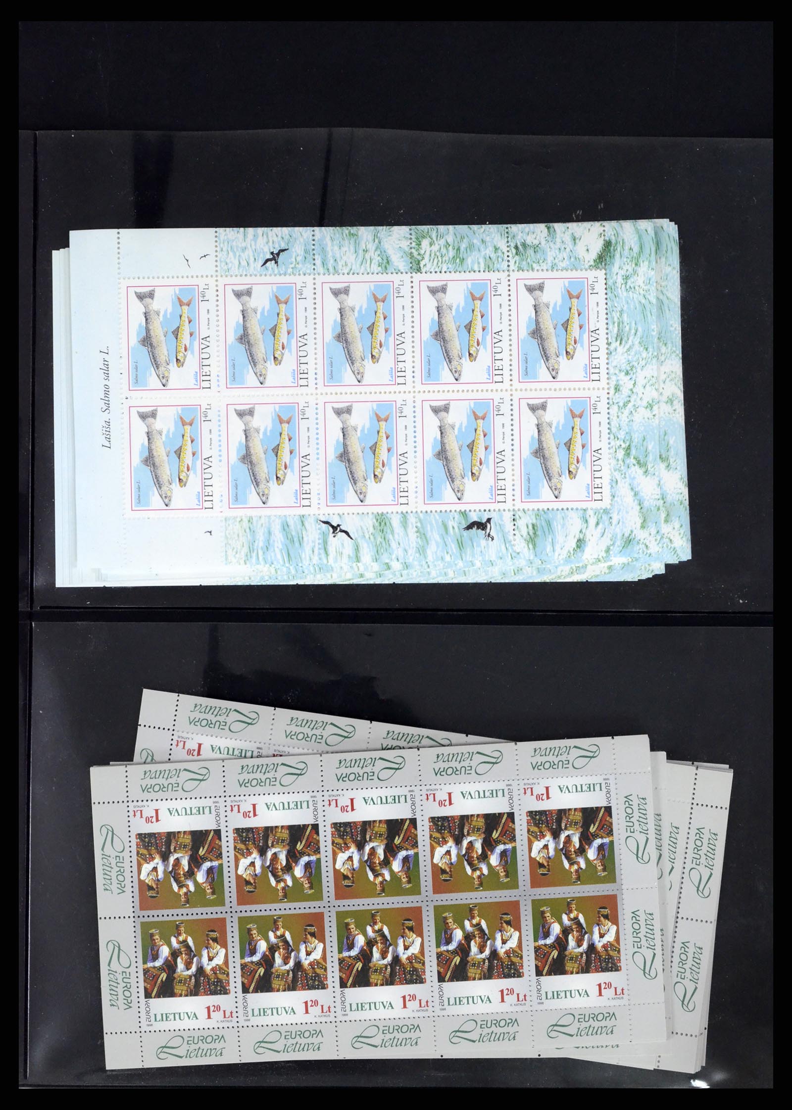 37312 088 - Postzegelverzameling 37312 Letland en Litouwen 1990-2000.