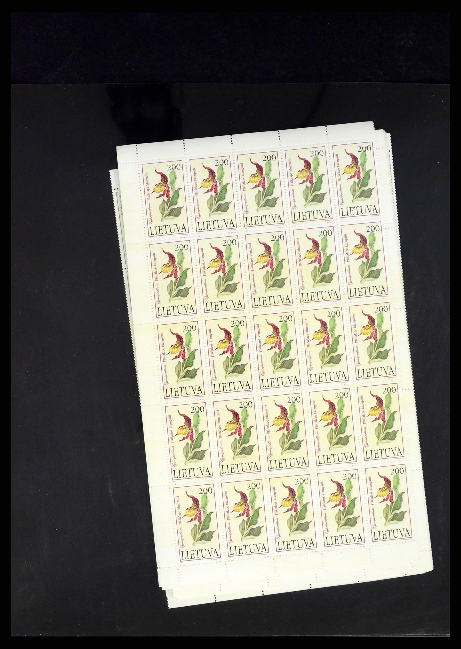 37312 192 - Postzegelverzameling 37312 Letland en Litouwen 1990-2000.