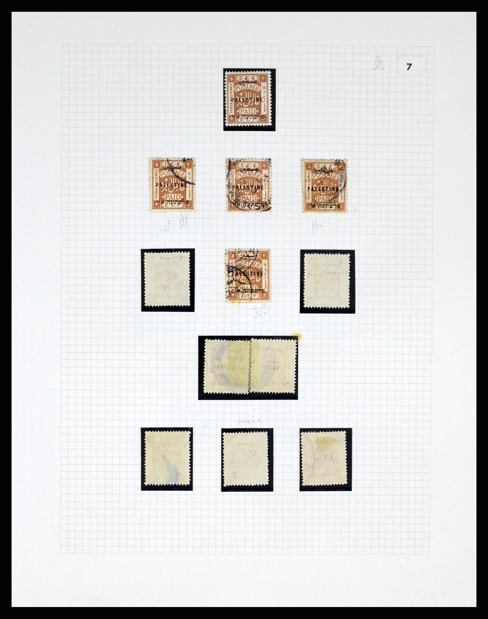 37313 100 - Postzegelverzameling 37313 Palestina 1918-1947.
