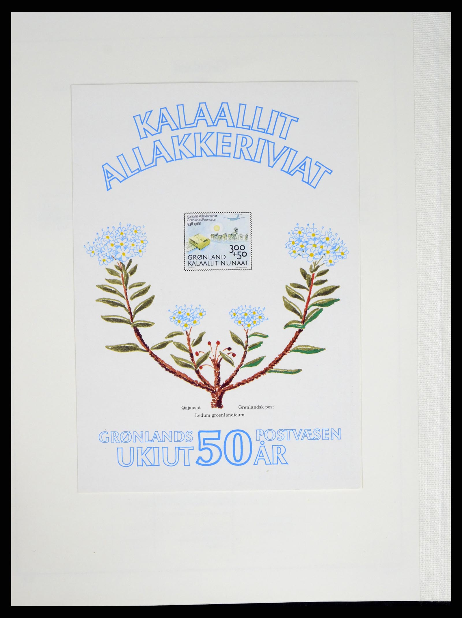 37405 030 - Postzegelverzameling 37405 Groenland 1905-2014.