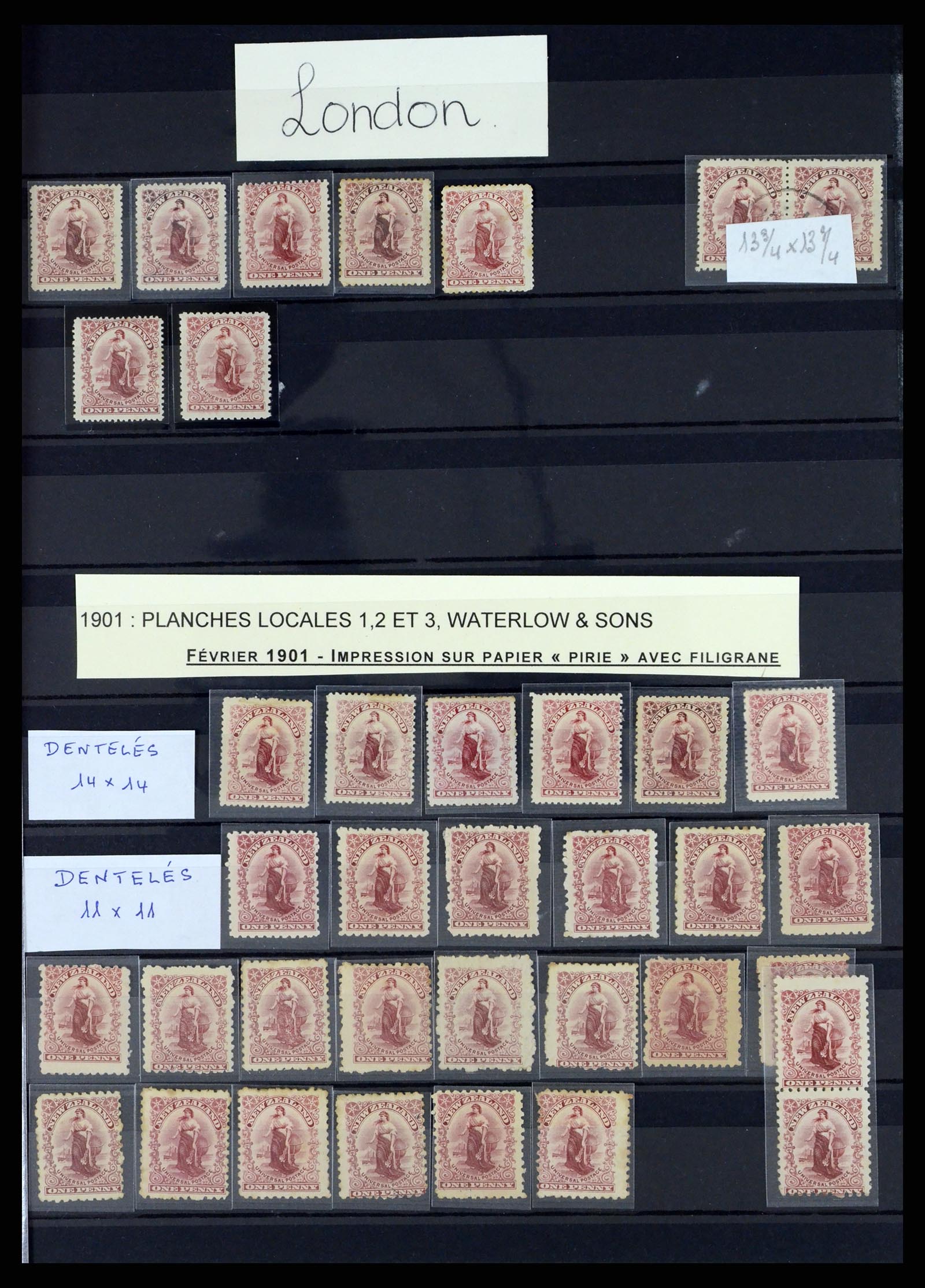 37434 001 - Postzegelverzameling 37434 Nieuw Zeeland 1901-1908.