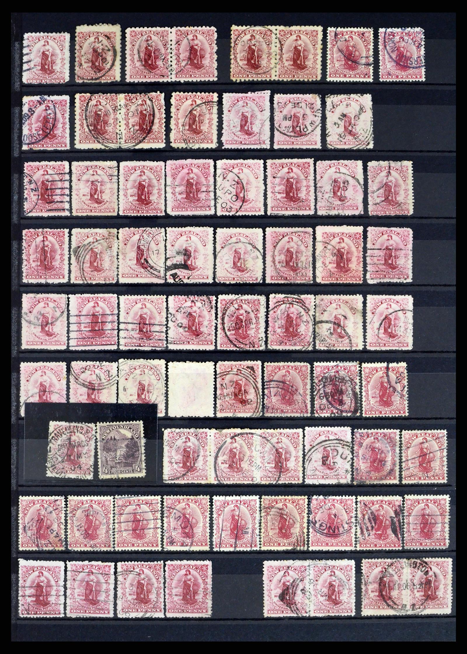 37434 010 - Stamp collection 37434 New Zealand 1901-1908.