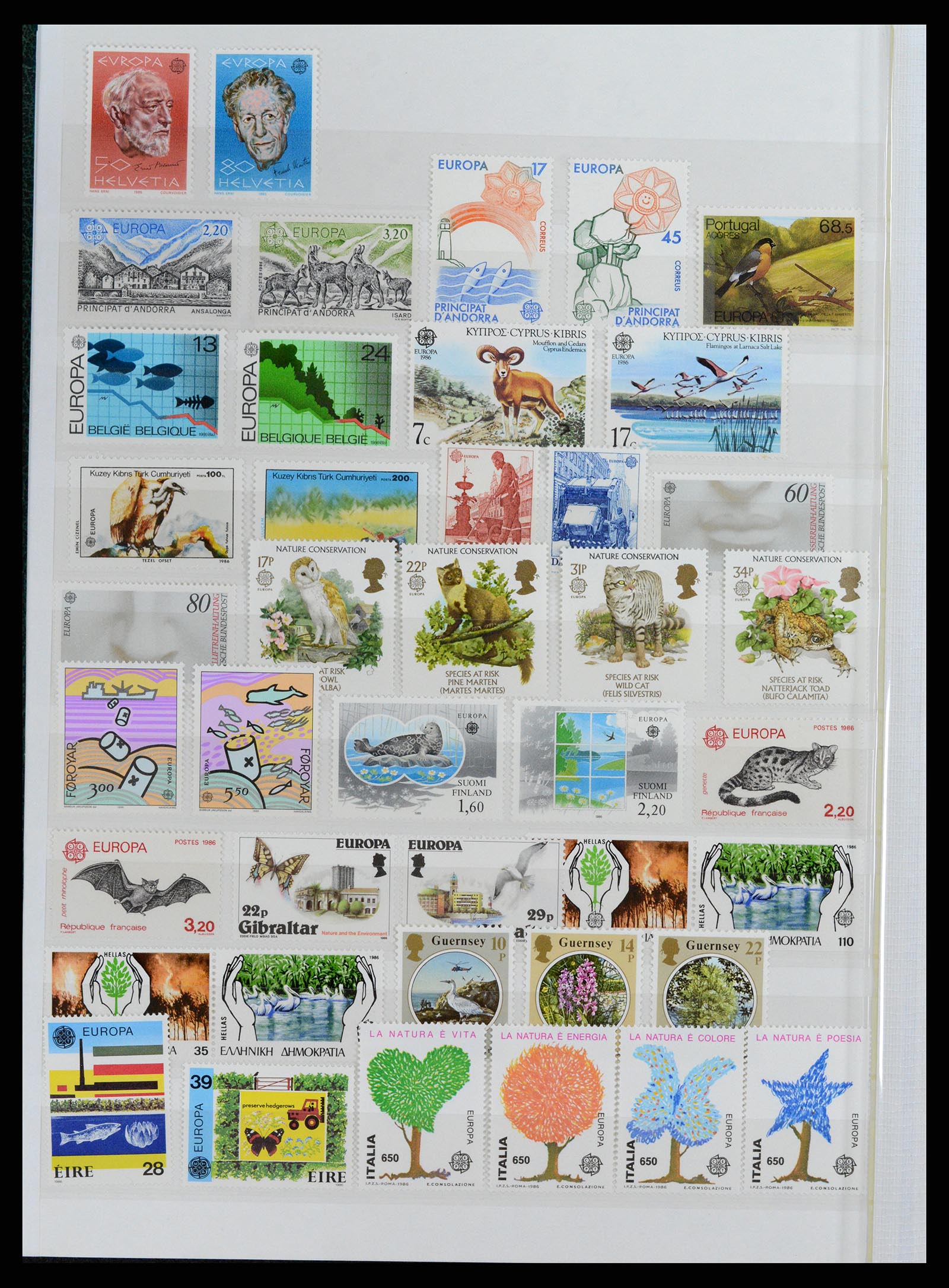 37464 032 - Postzegelverzameling 37464 Europa CEPT 1956-2011.