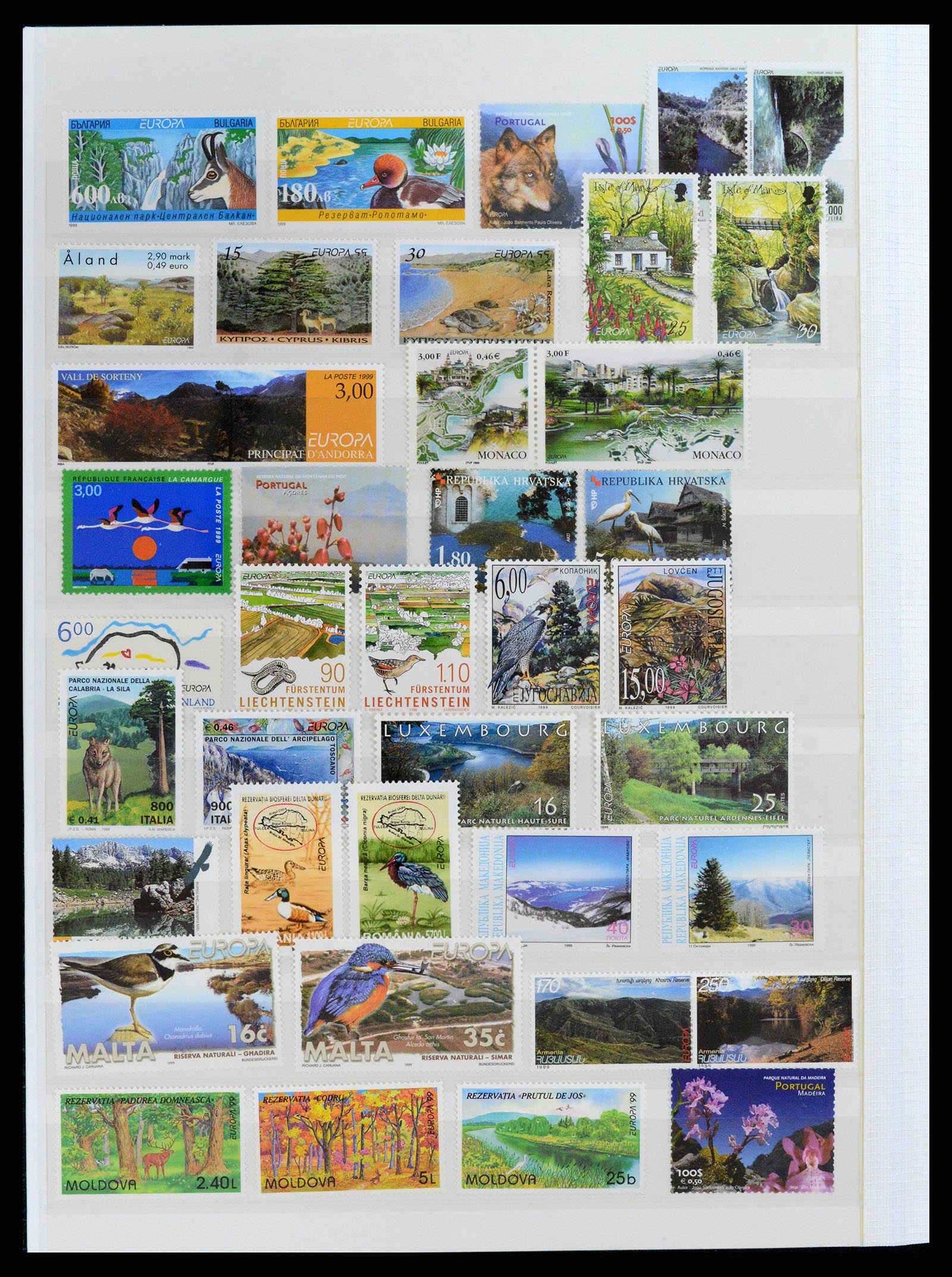 37464 062 - Postzegelverzameling 37464 Europa CEPT 1956-2011.