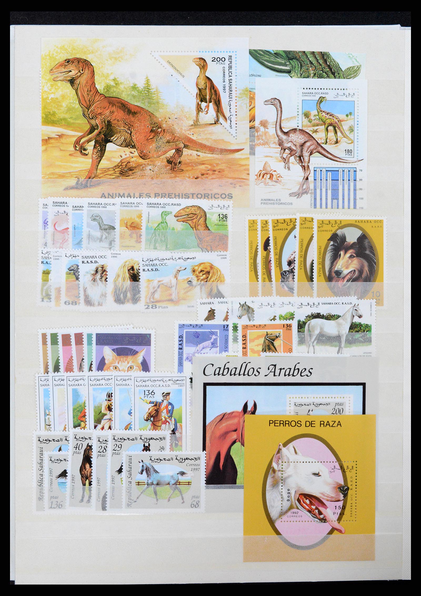 37465 002 - Postzegelverzameling 37465 Motief vissen en zeeleven t/m 2021!!