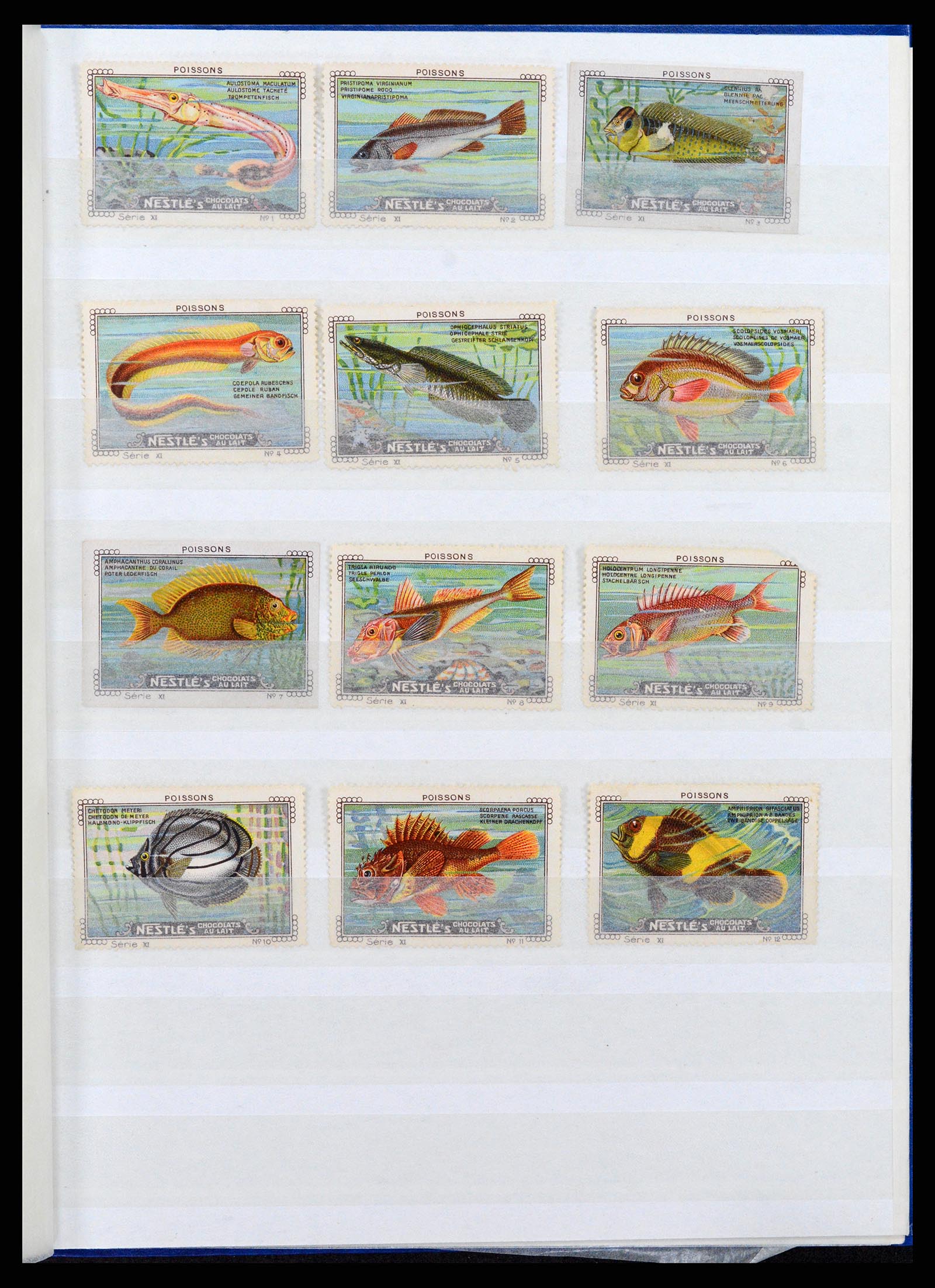 37465 010 - Postzegelverzameling 37465 Motief vissen en zeeleven t/m 2021!!