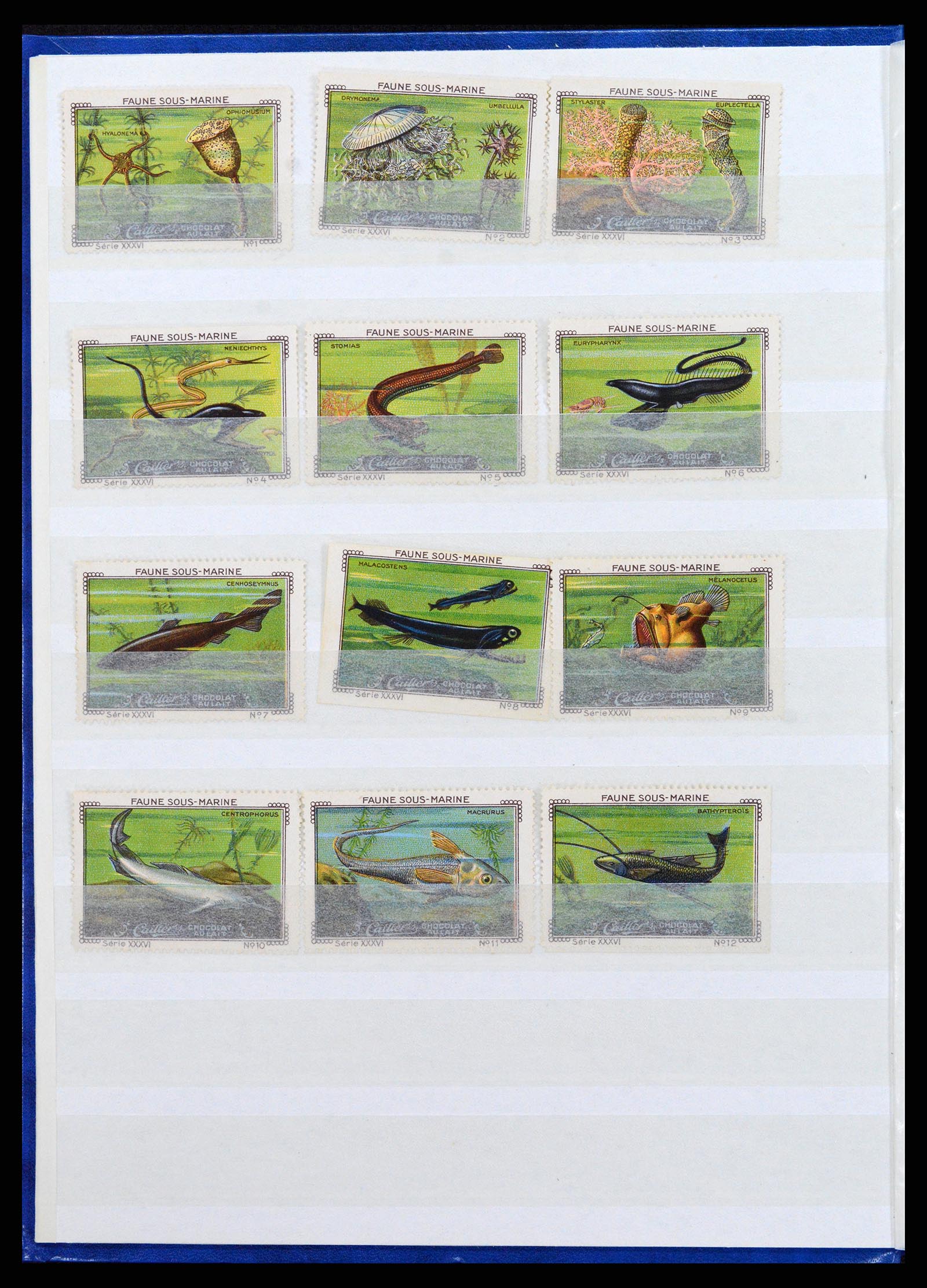 37465 011 - Stamp collection 37465 Thematics fishes and sealife till 2021!!
