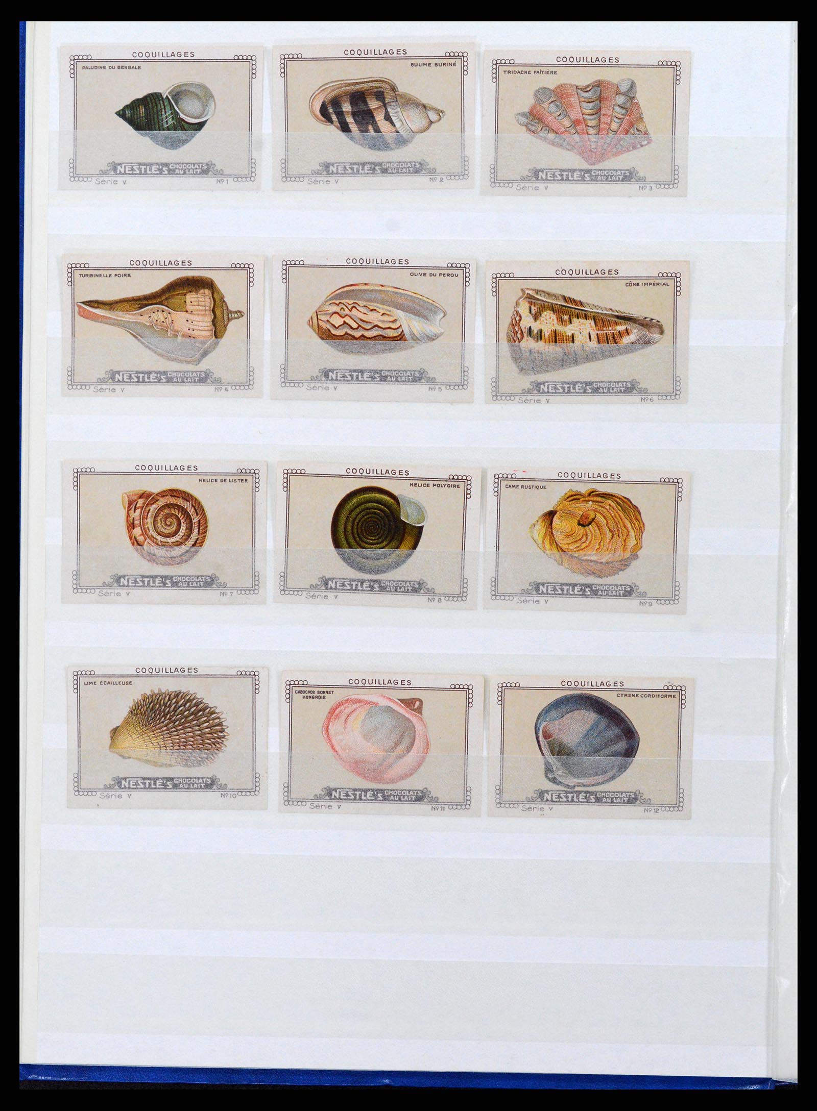 37465 013 - Stamp collection 37465 Thematics fishes and sealife till 2021!!