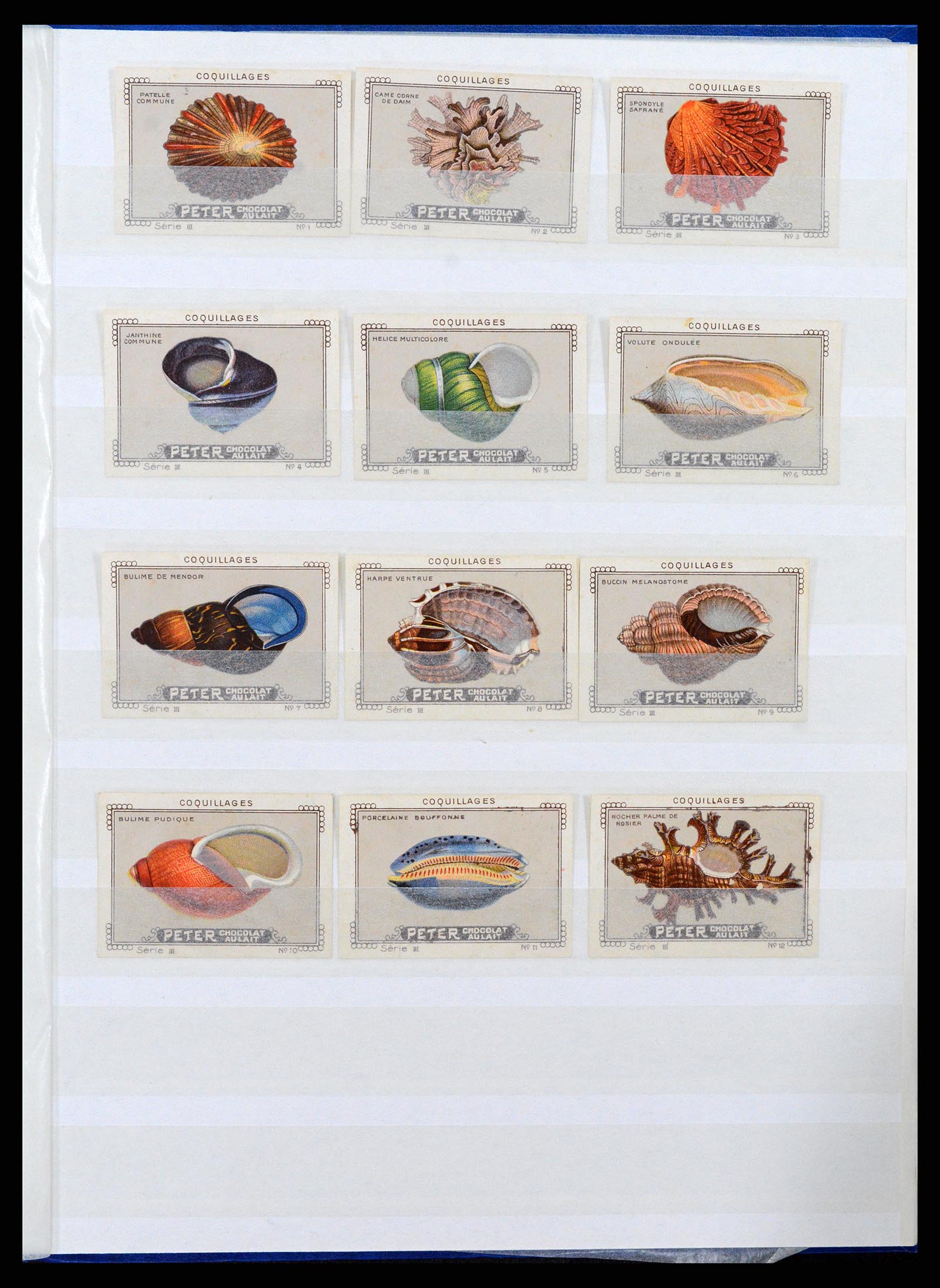 37465 014 - Stamp collection 37465 Thematics fishes and sealife till 2021!!