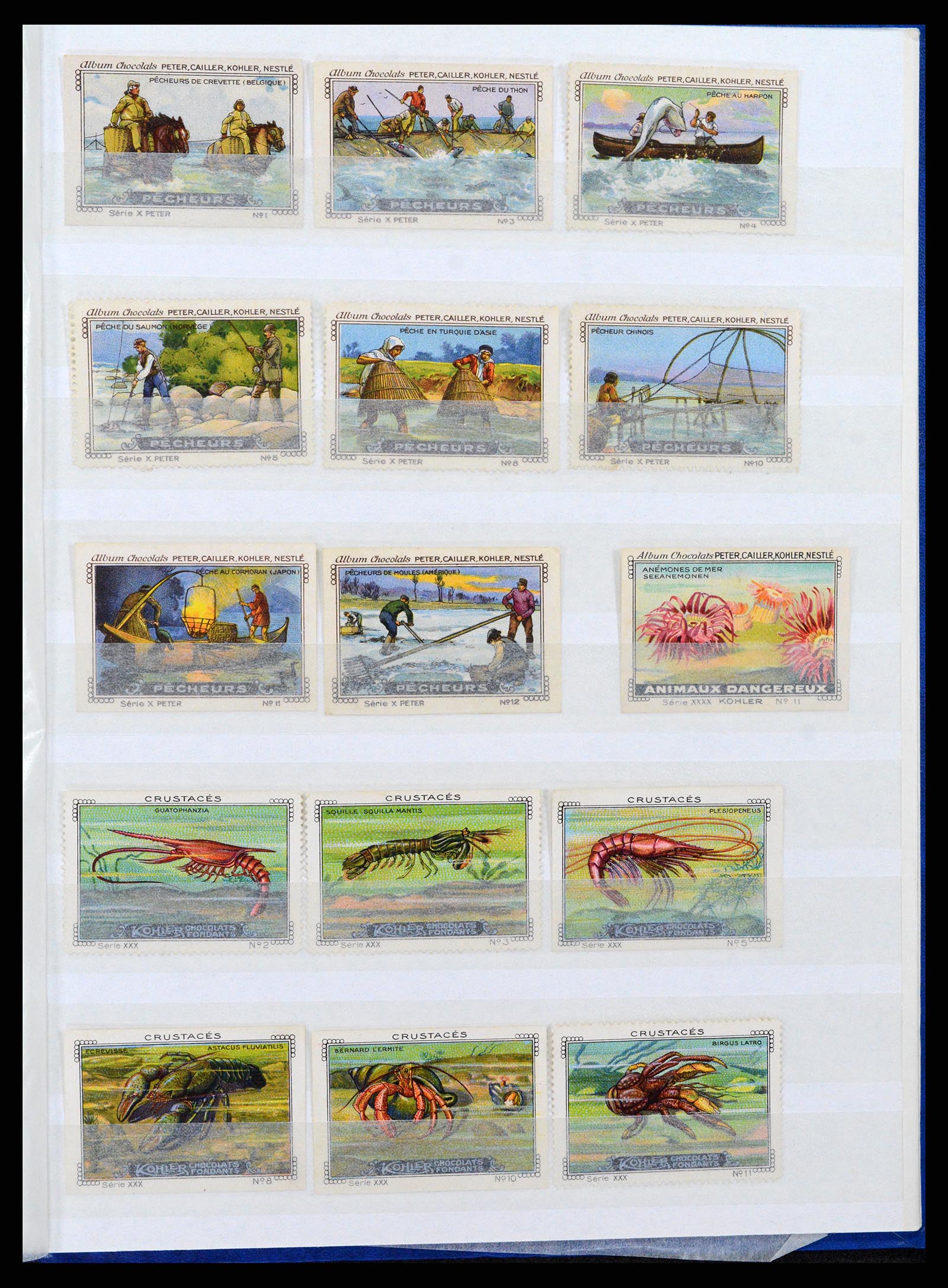 37465 021 - Stamp collection 37465 Thematics fishes and sealife till 2021!!