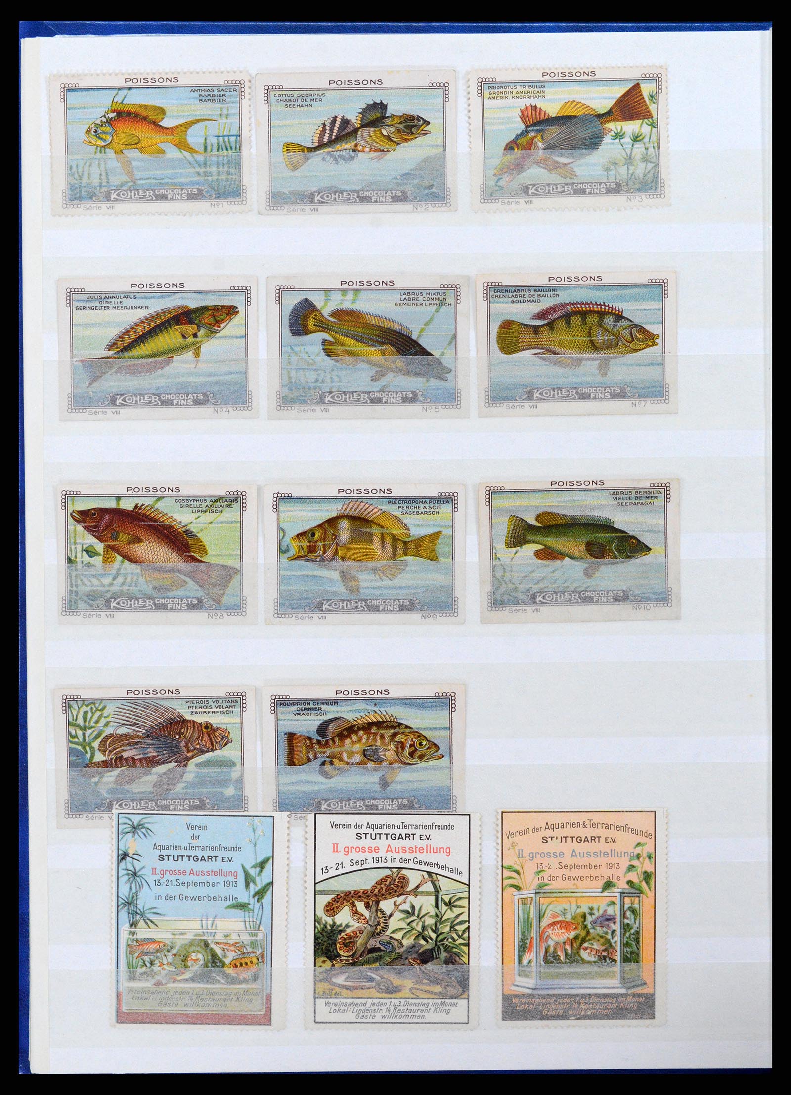 37465 023 - Stamp collection 37465 Thematics fishes and sealife till 2021!!