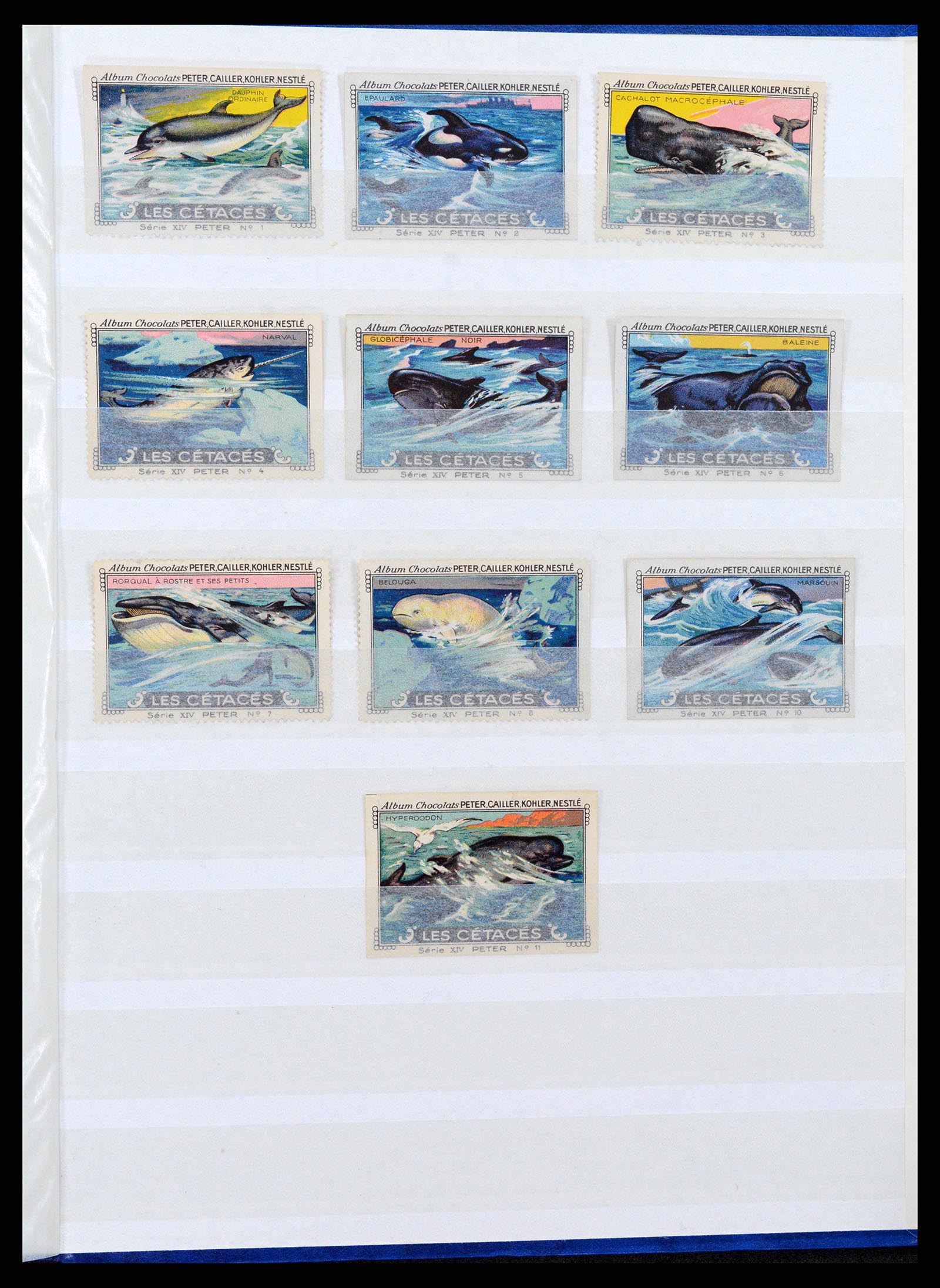 37465 024 - Stamp collection 37465 Thematics fishes and sealife till 2021!!