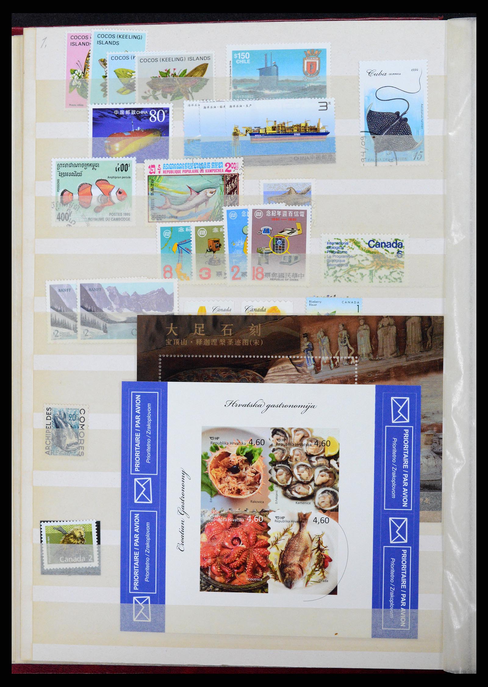 37465 050 - Stamp collection 37465 Thematics fishes and sealife till 2021!!