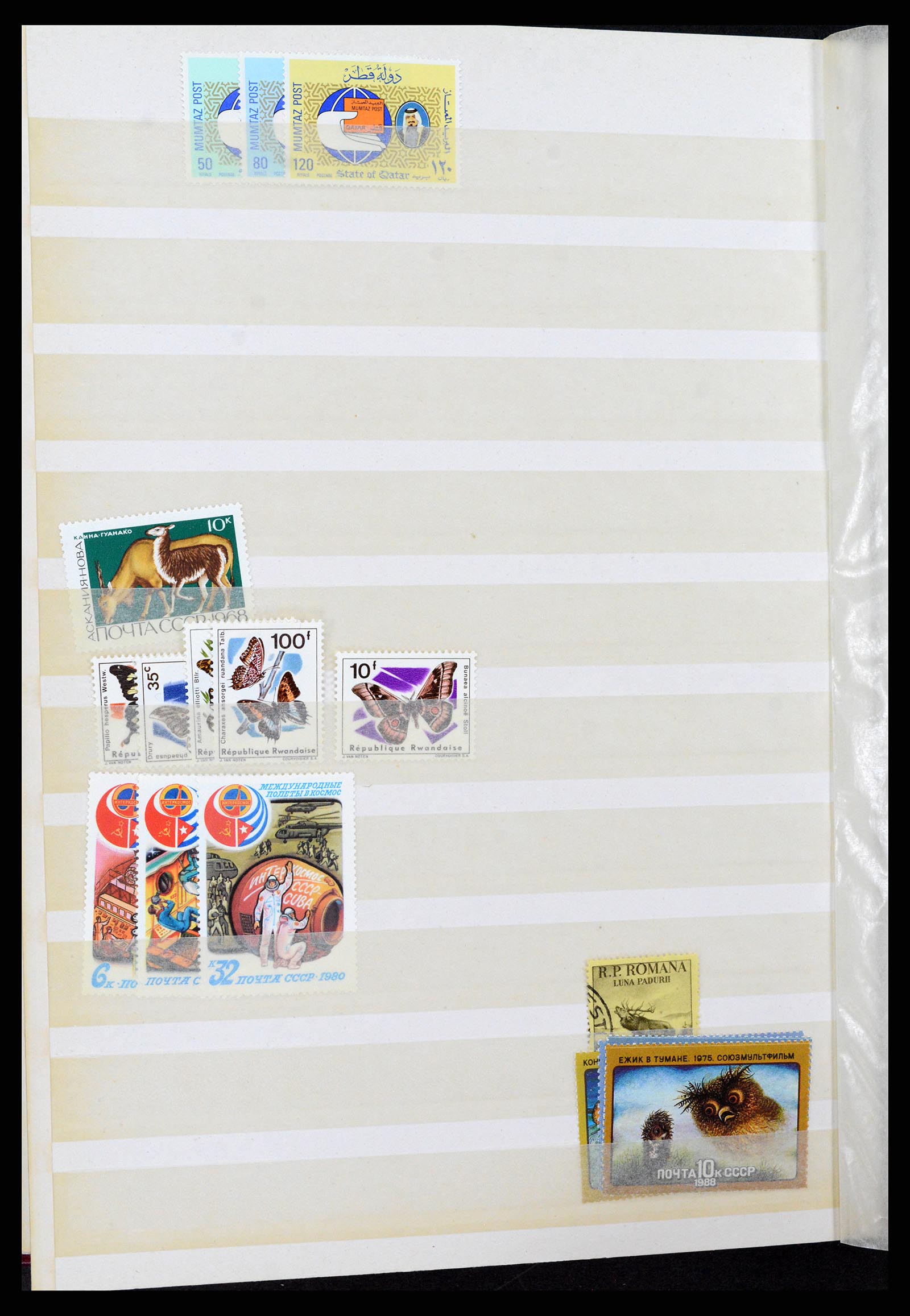 37465 061 - Stamp collection 37465 Thematics fishes and sealife till 2021!!