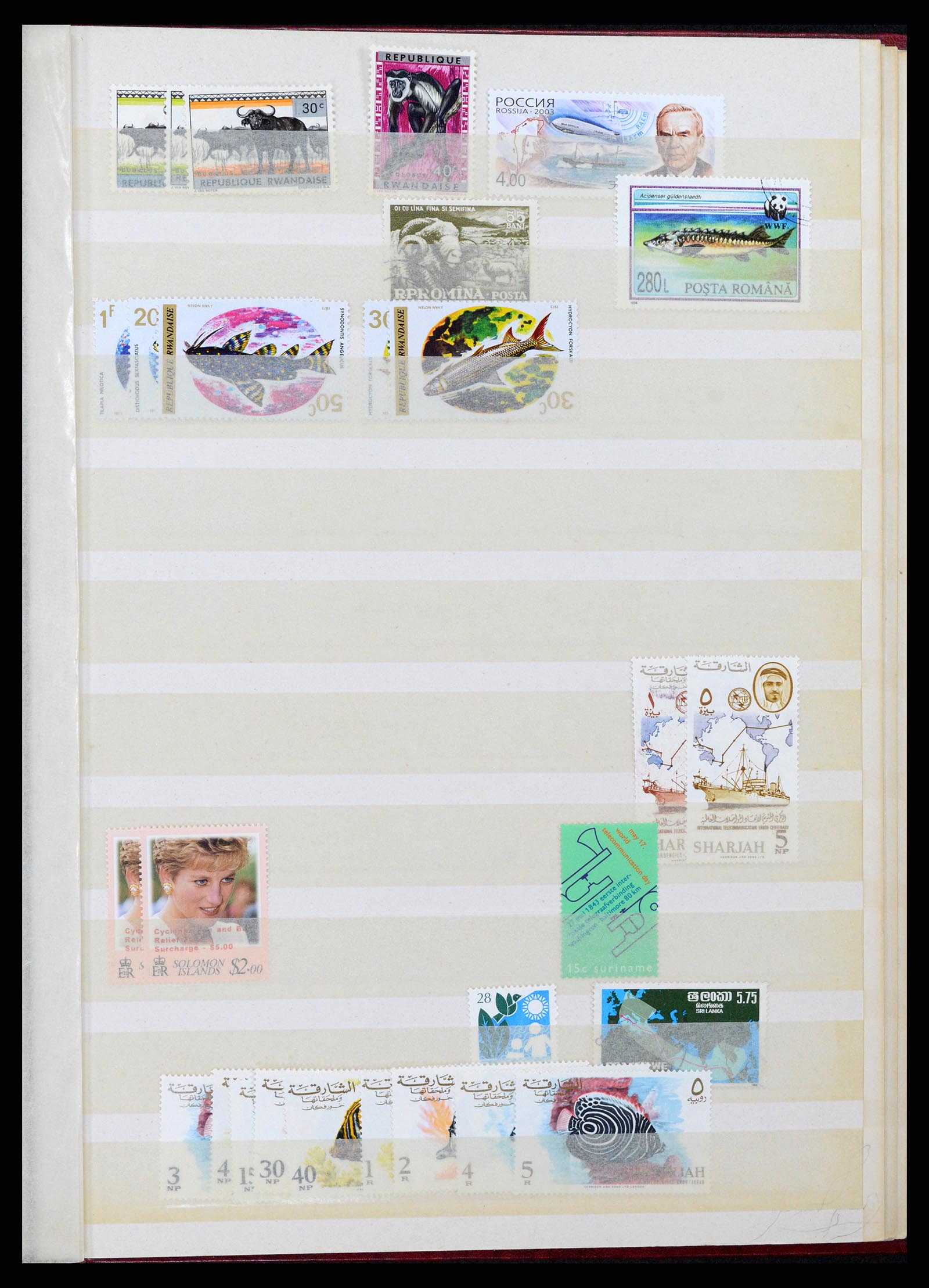 37465 062 - Stamp collection 37465 Thematics fishes and sealife till 2021!!