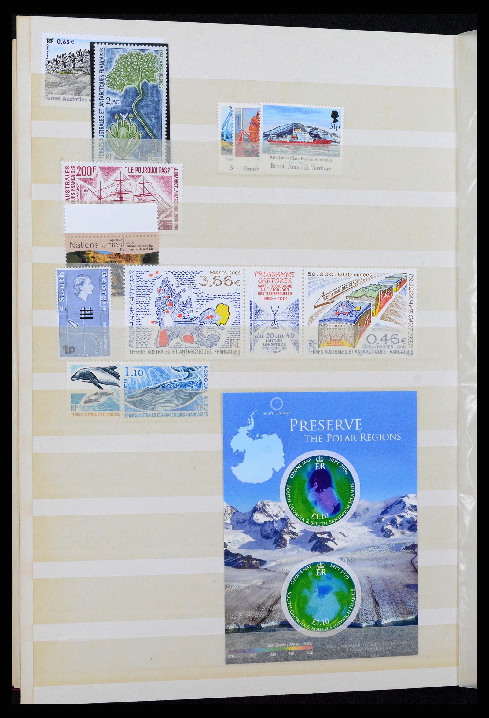 37465 067 - Stamp collection 37465 Thematics fishes and sealife till 2021!!