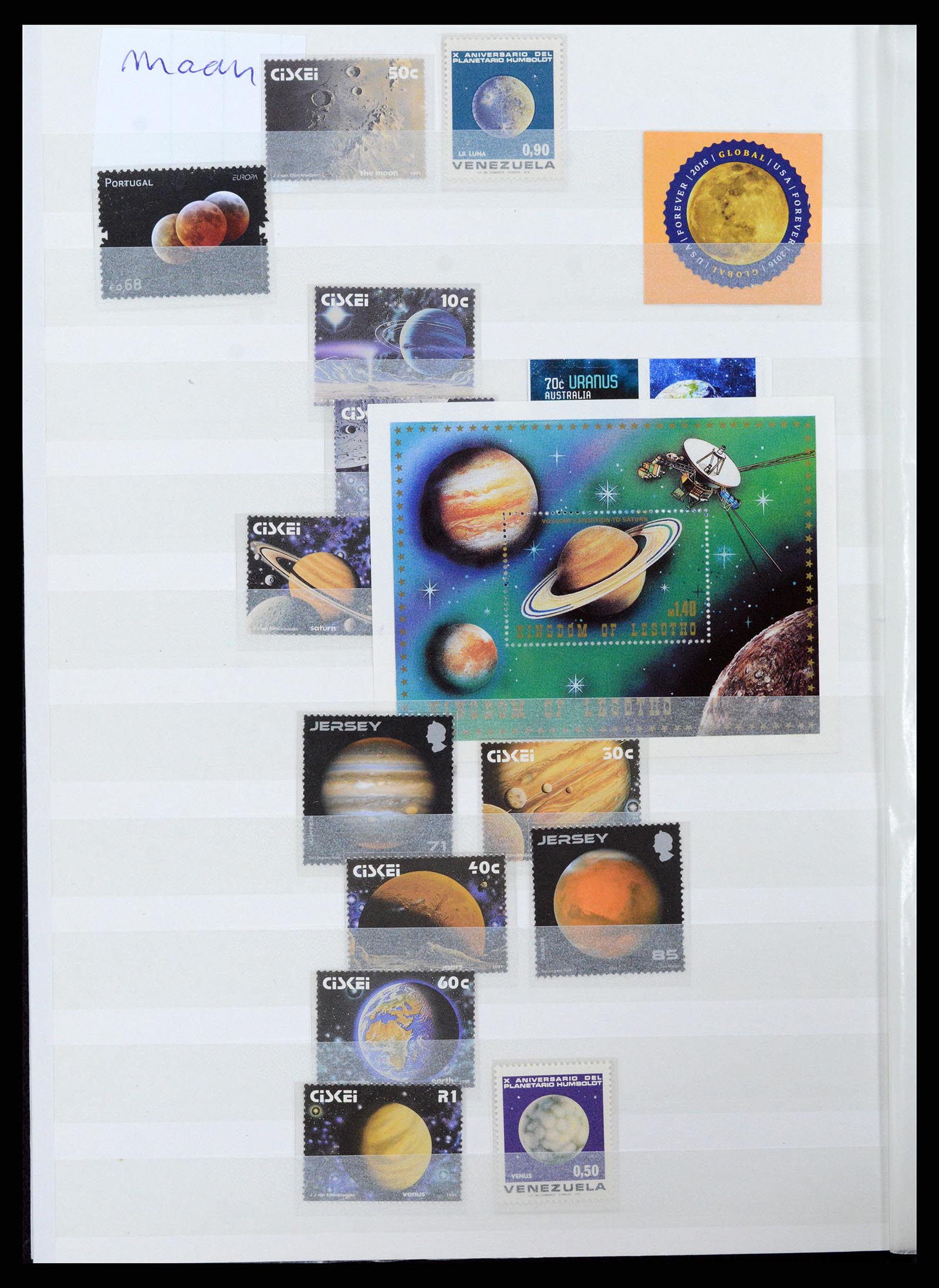 37465 082 - Stamp collection 37465 Thematics fishes and sealife till 2021!!