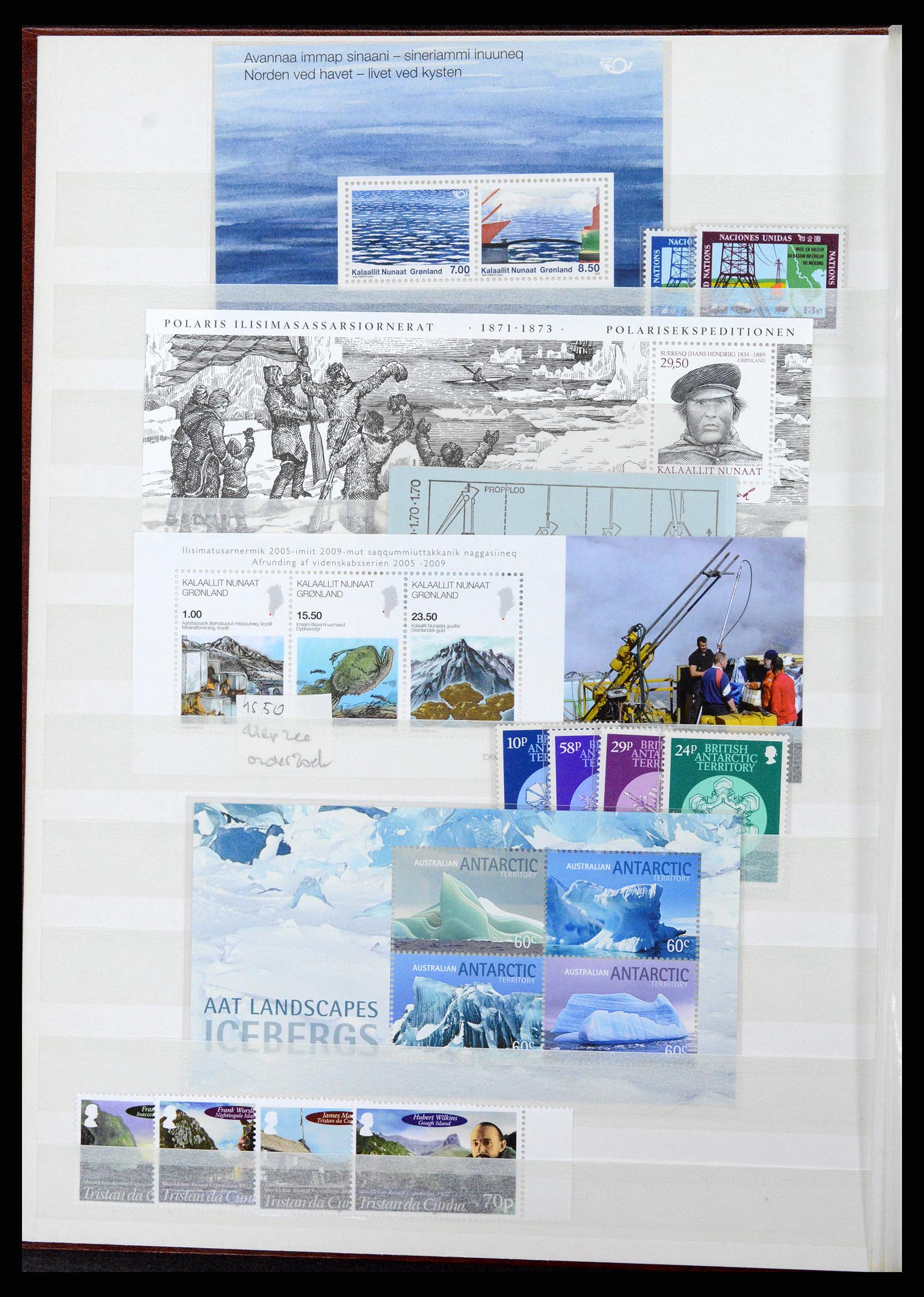 37465 091 - Stamp collection 37465 Thematics fishes and sealife till 2021!!