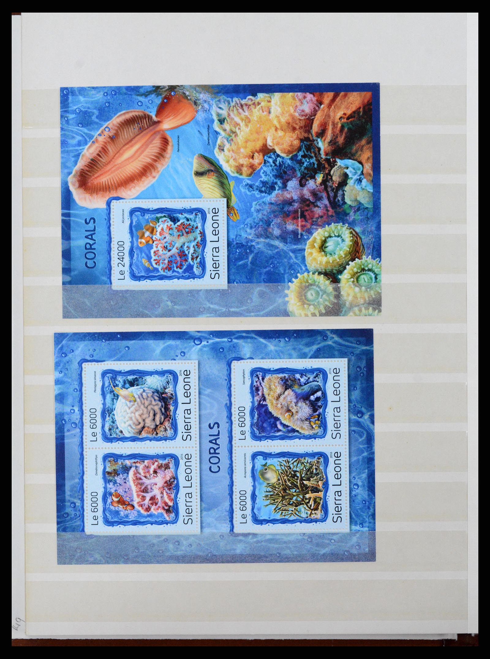 37465 354 - Stamp collection 37465 Thematics fishes and sealife till 2021!!