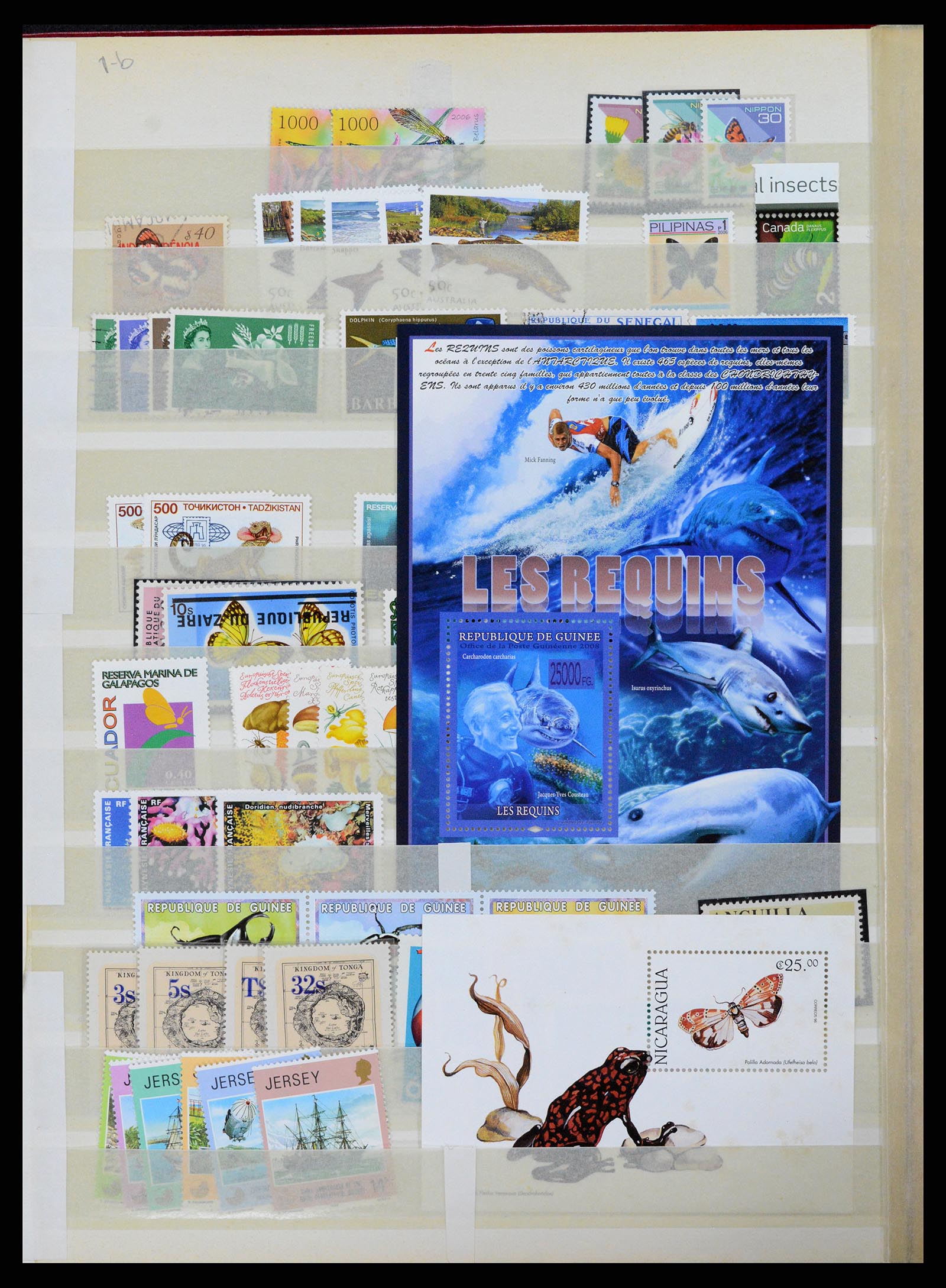 37465 358 - Stamp collection 37465 Thematics fishes and sealife till 2021!!