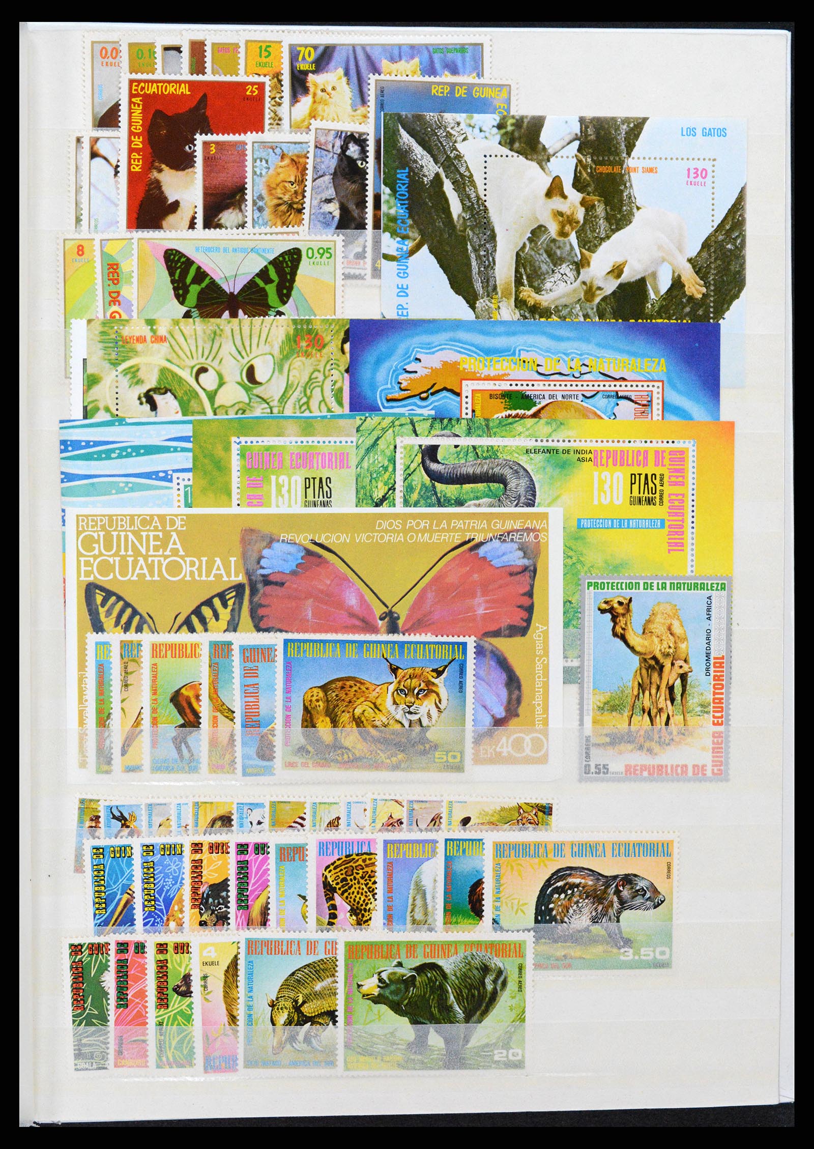 37465 385 - Stamp collection 37465 Thematics fishes and sealife till 2021!!