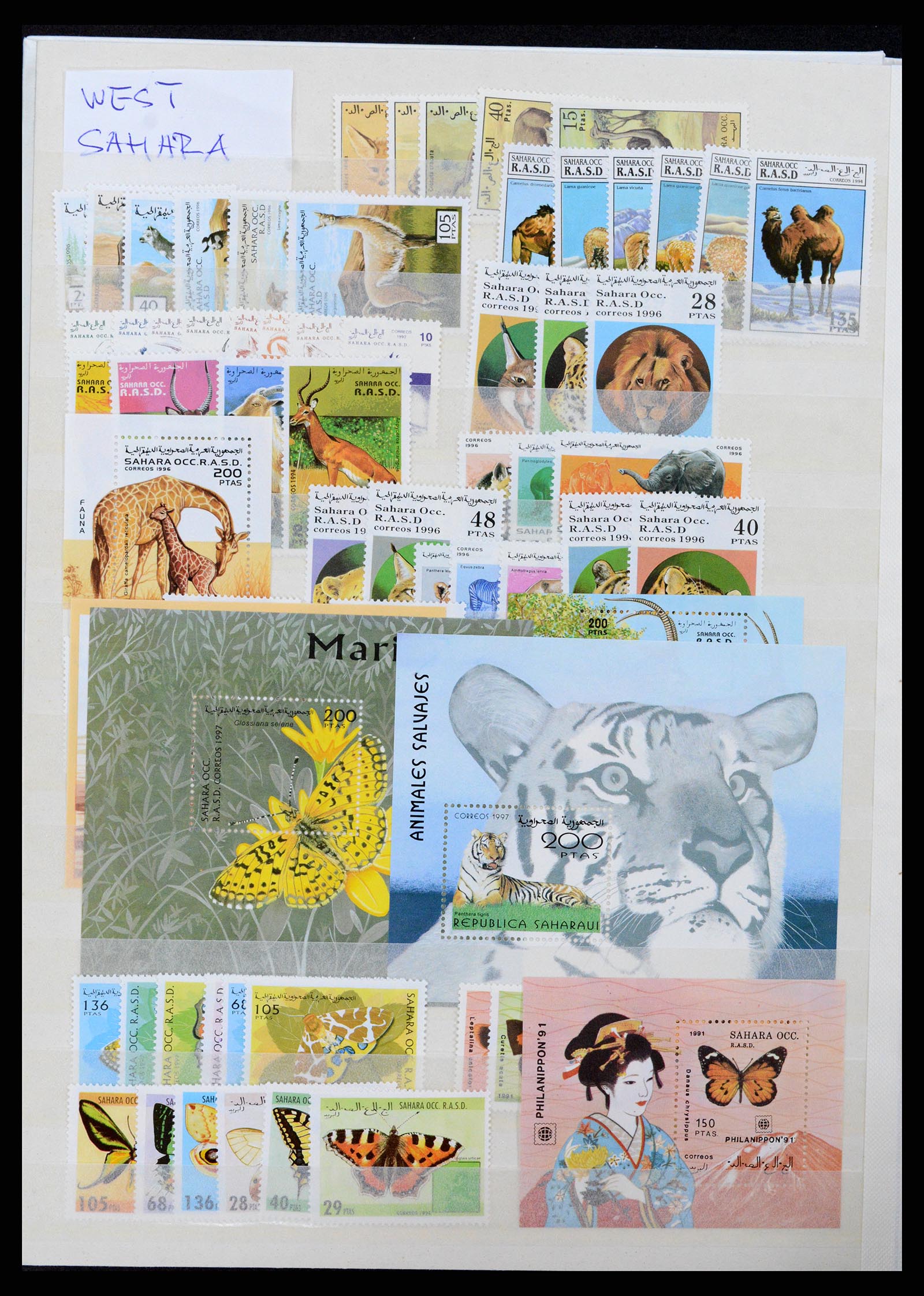 37465 390 - Stamp collection 37465 Thematics fishes and sealife till 2021!!