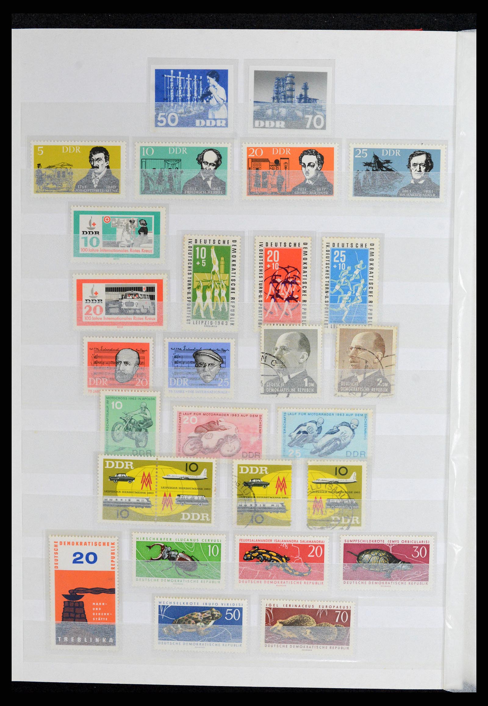 37501 024 - Stamp collection 37501 GDR 1949-1990.