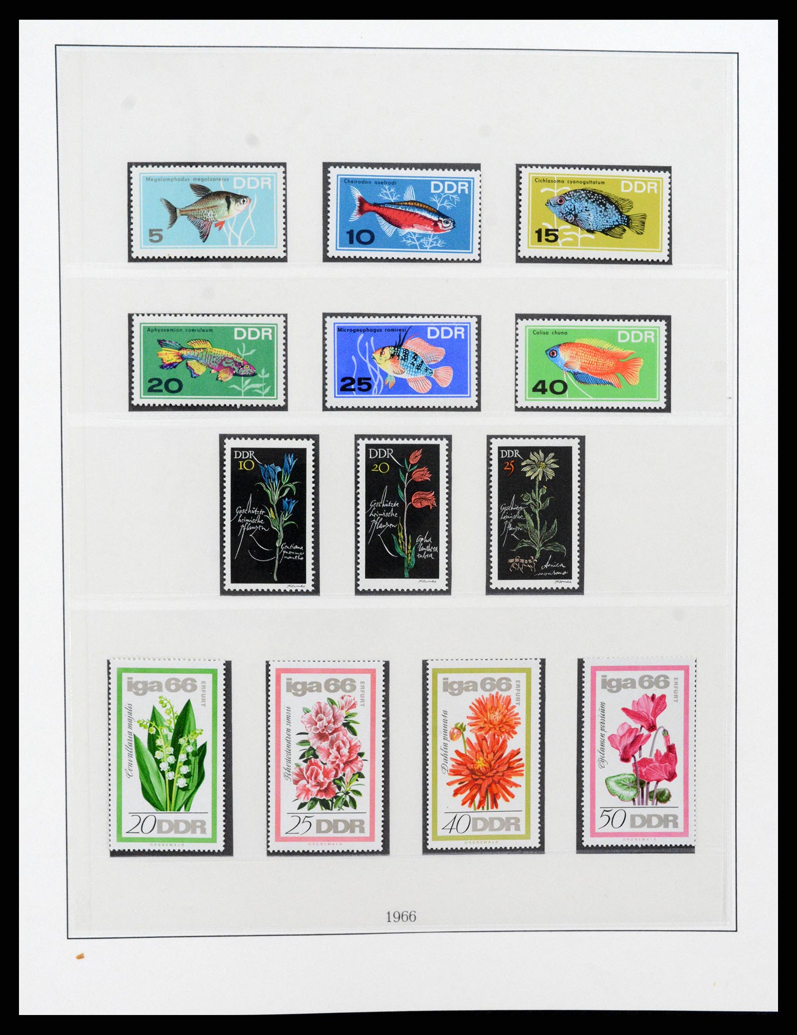 37507 088 - Postzegelverzameling 37507 D.D.R. 1949-1990.