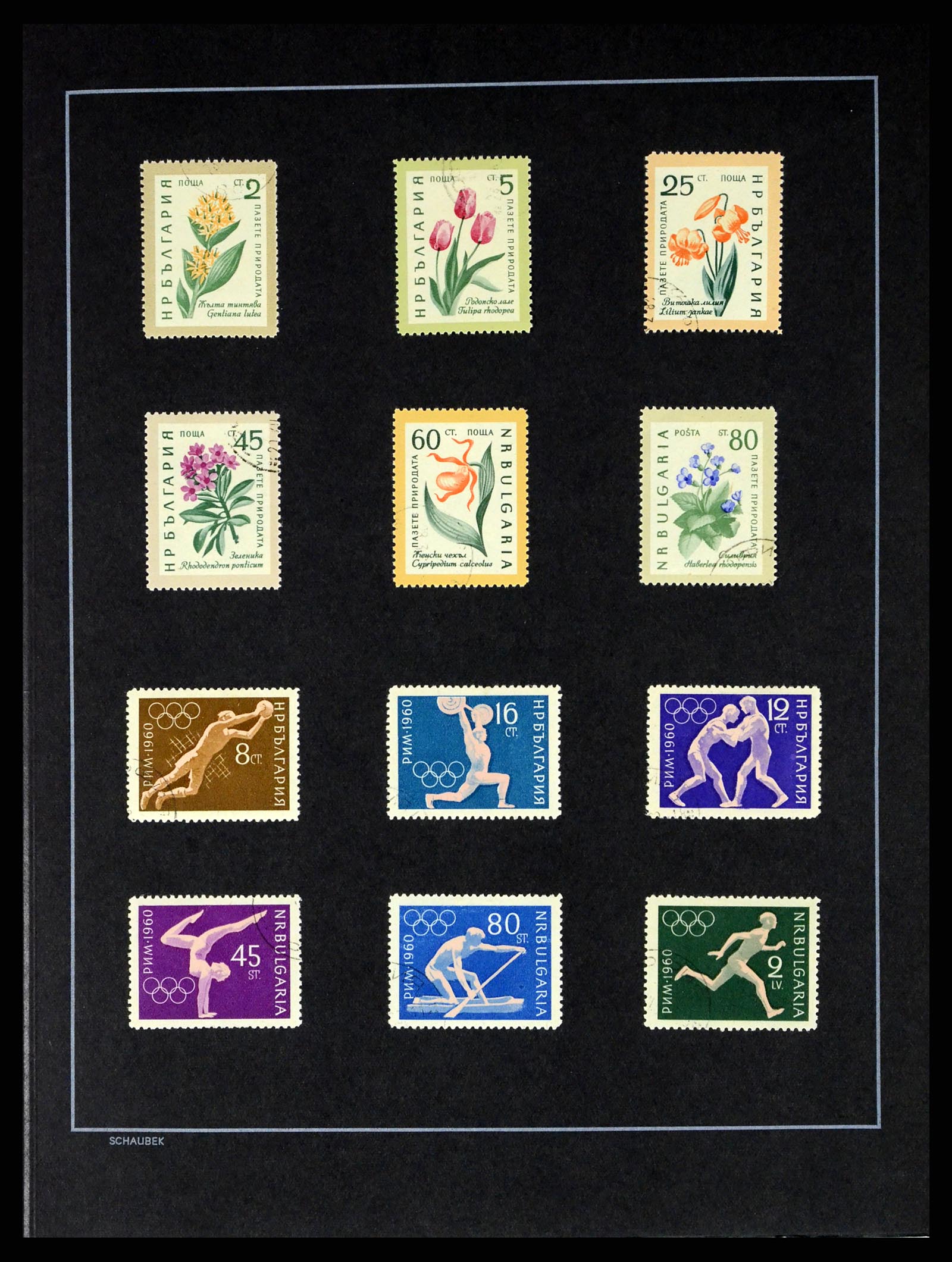 37516 043 - Postzegelverzameling 37516 Bulgarije 1879-1973.