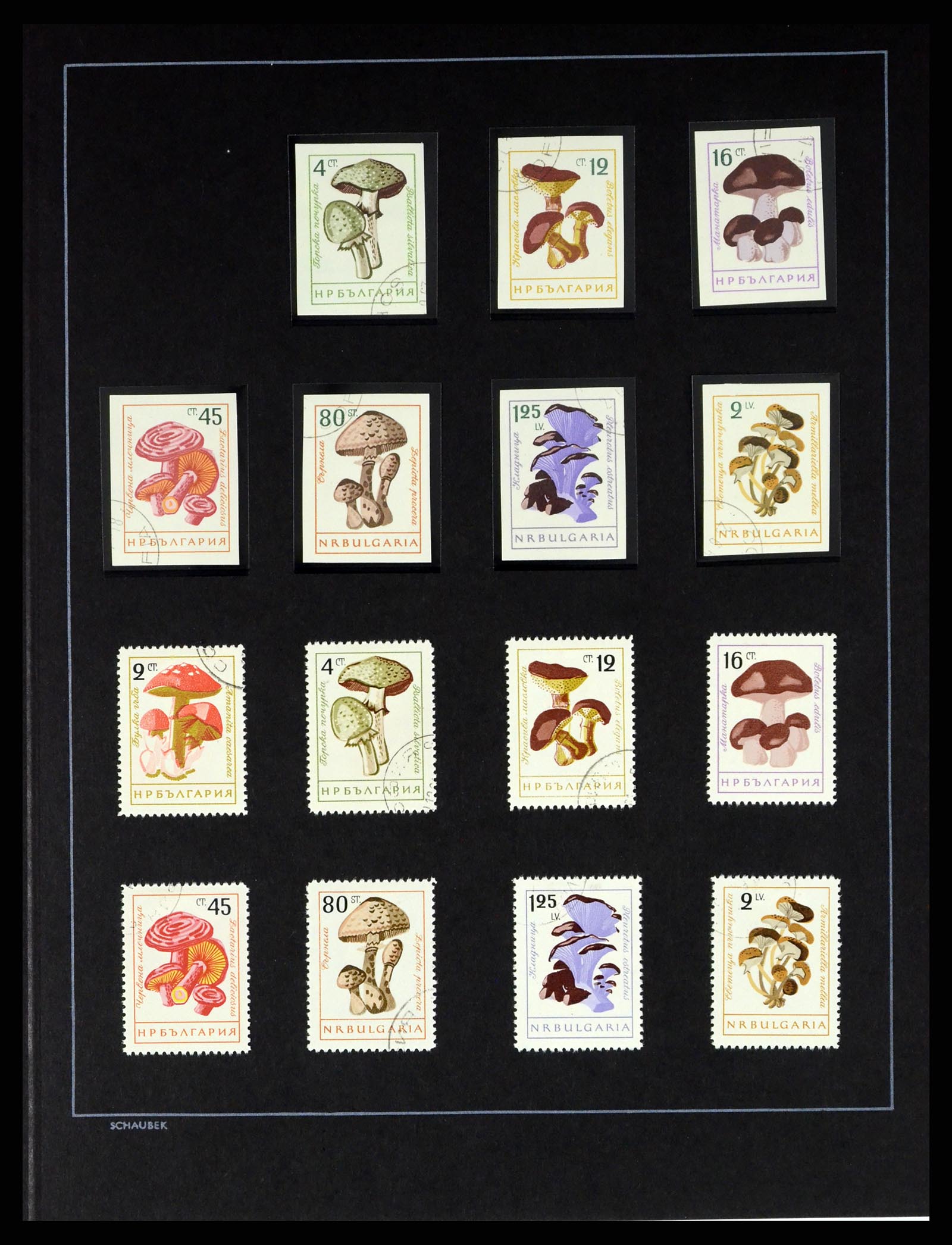 37516 050 - Postzegelverzameling 37516 Bulgarije 1879-1973.