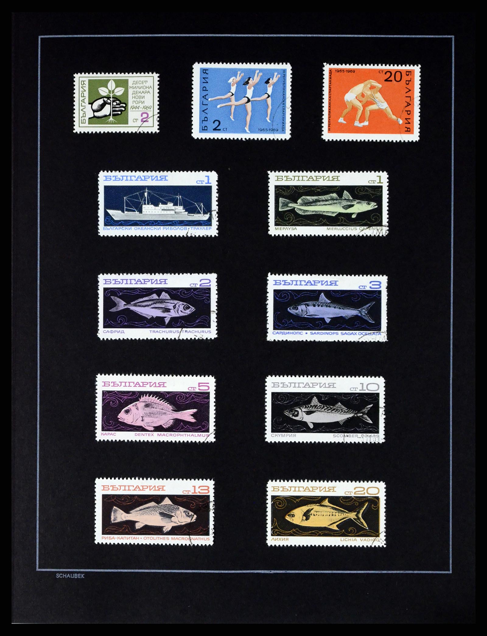 37516 109 - Postzegelverzameling 37516 Bulgarije 1879-1973.