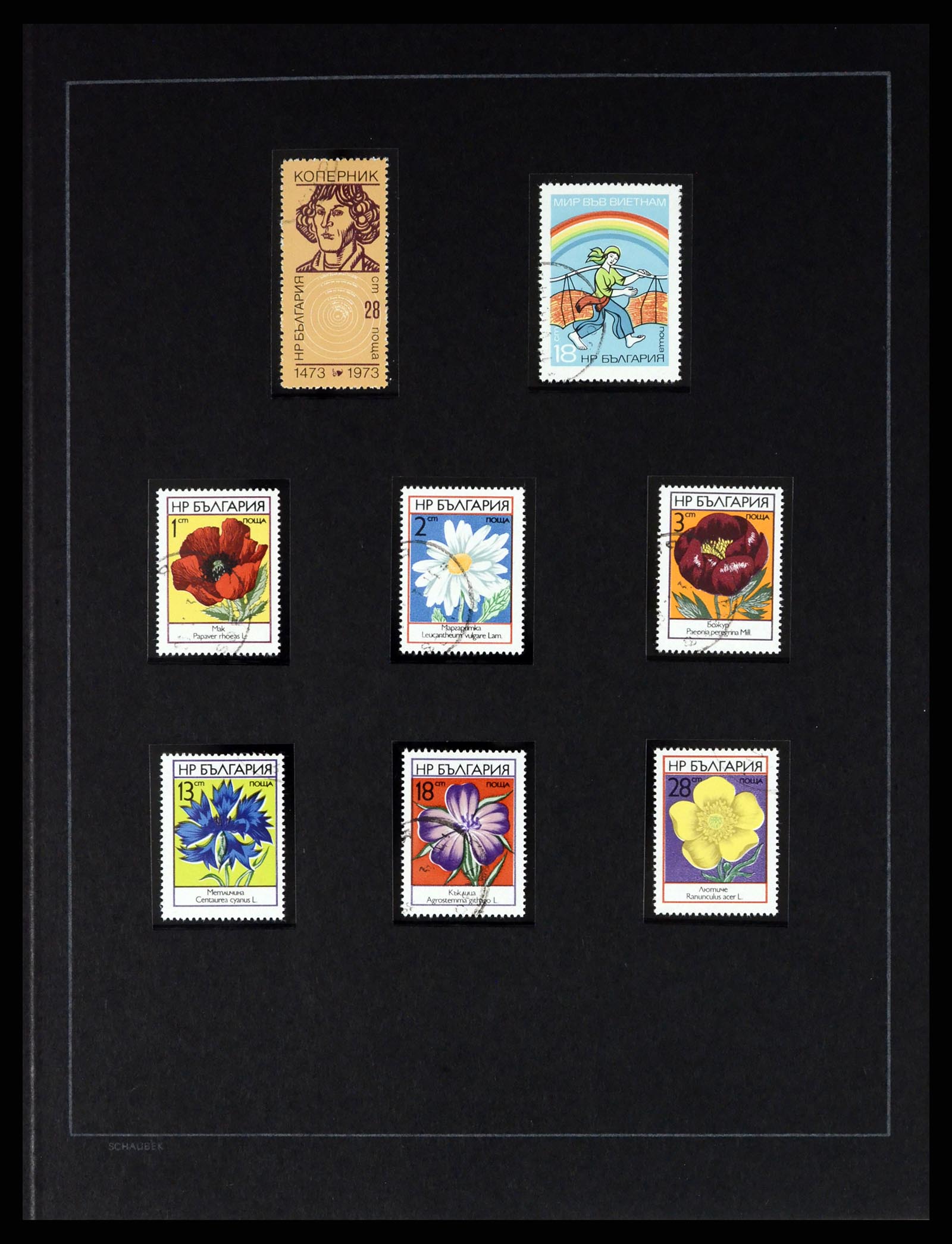 37516 146 - Postzegelverzameling 37516 Bulgarije 1879-1973.