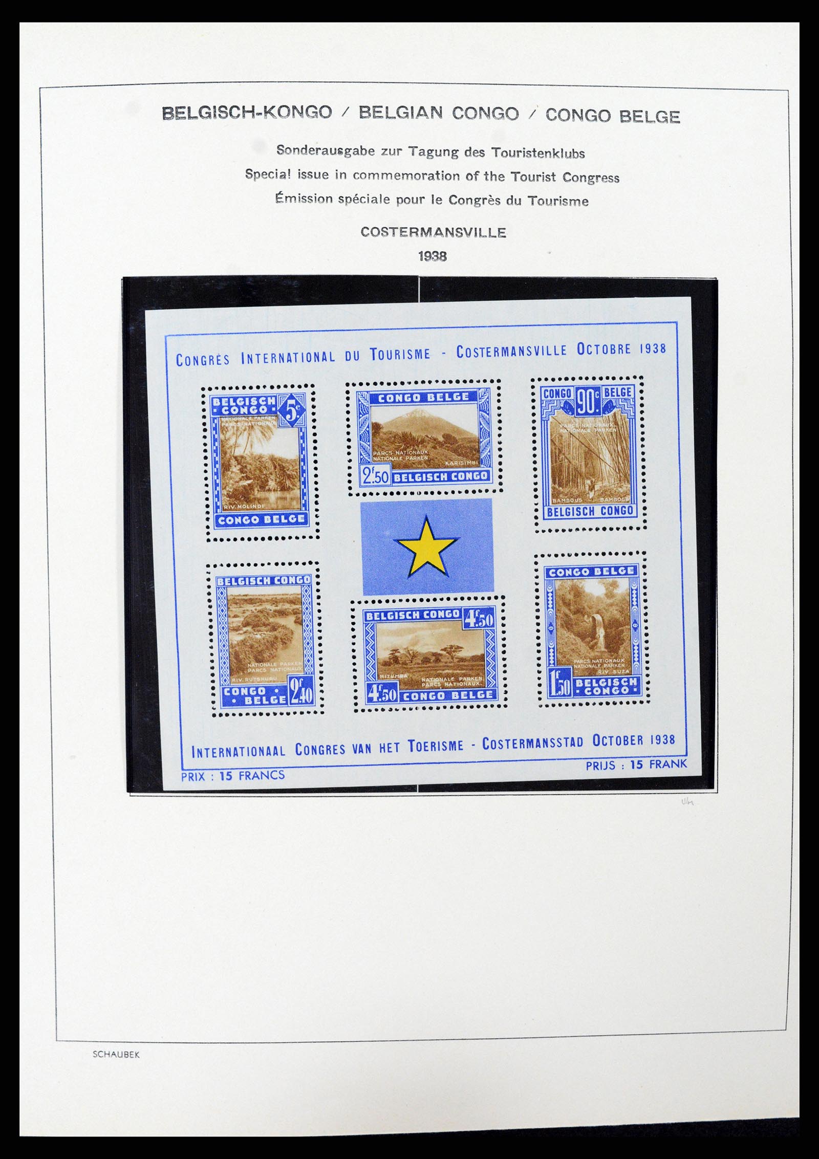 37530 034 - Postzegelverzameling 37530 Belgisch Congo 1886-1961.