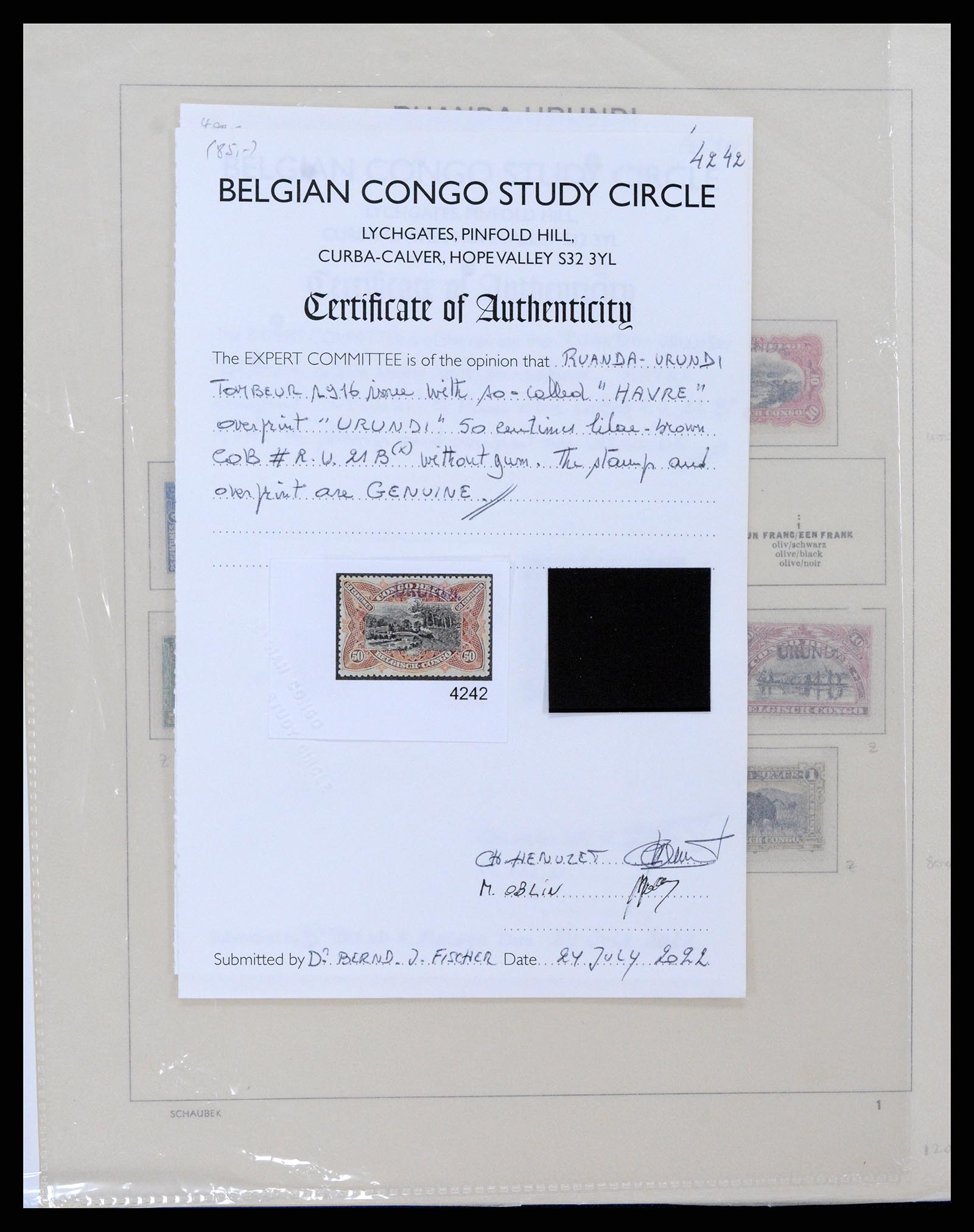 37530 119 - Postzegelverzameling 37530 Belgisch Congo 1886-1961.