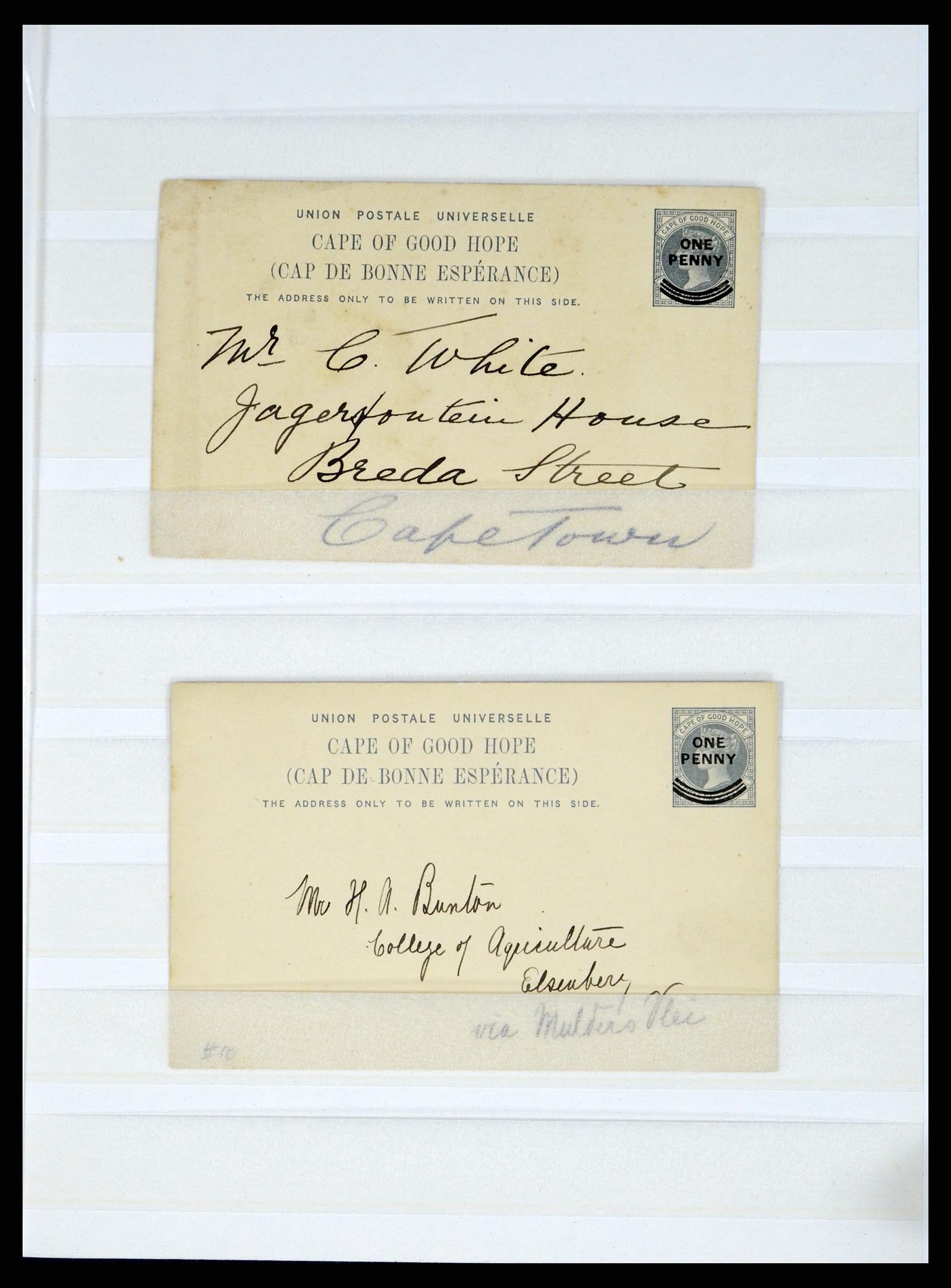 37549 080 - Postzegelverzameling 37549 Kaap de Goede Hoop stempels 1890-1910.