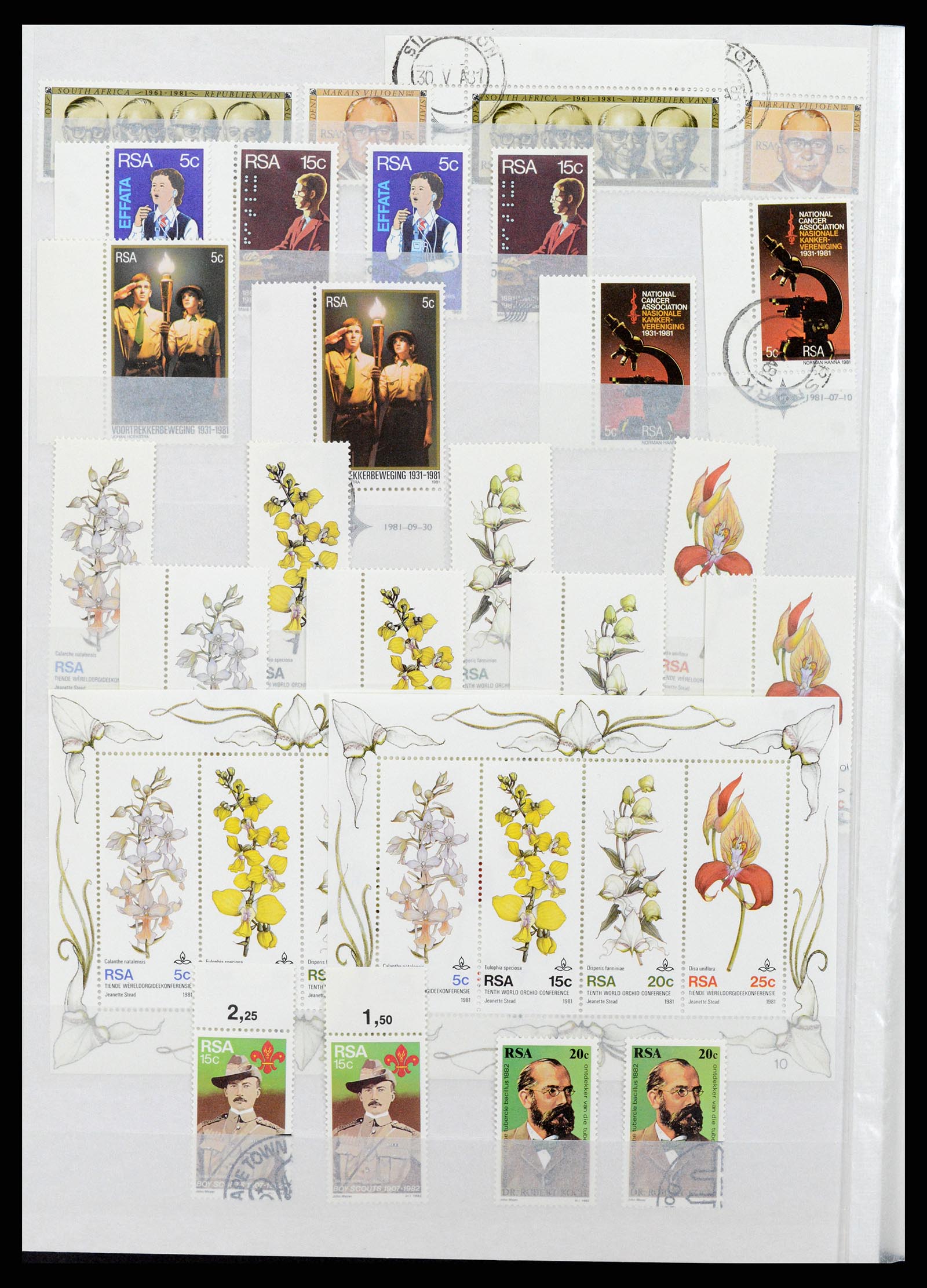 37616 008 - Postzegelverzameling 37616 Zuid Afrika en gebieden 1860-2002.