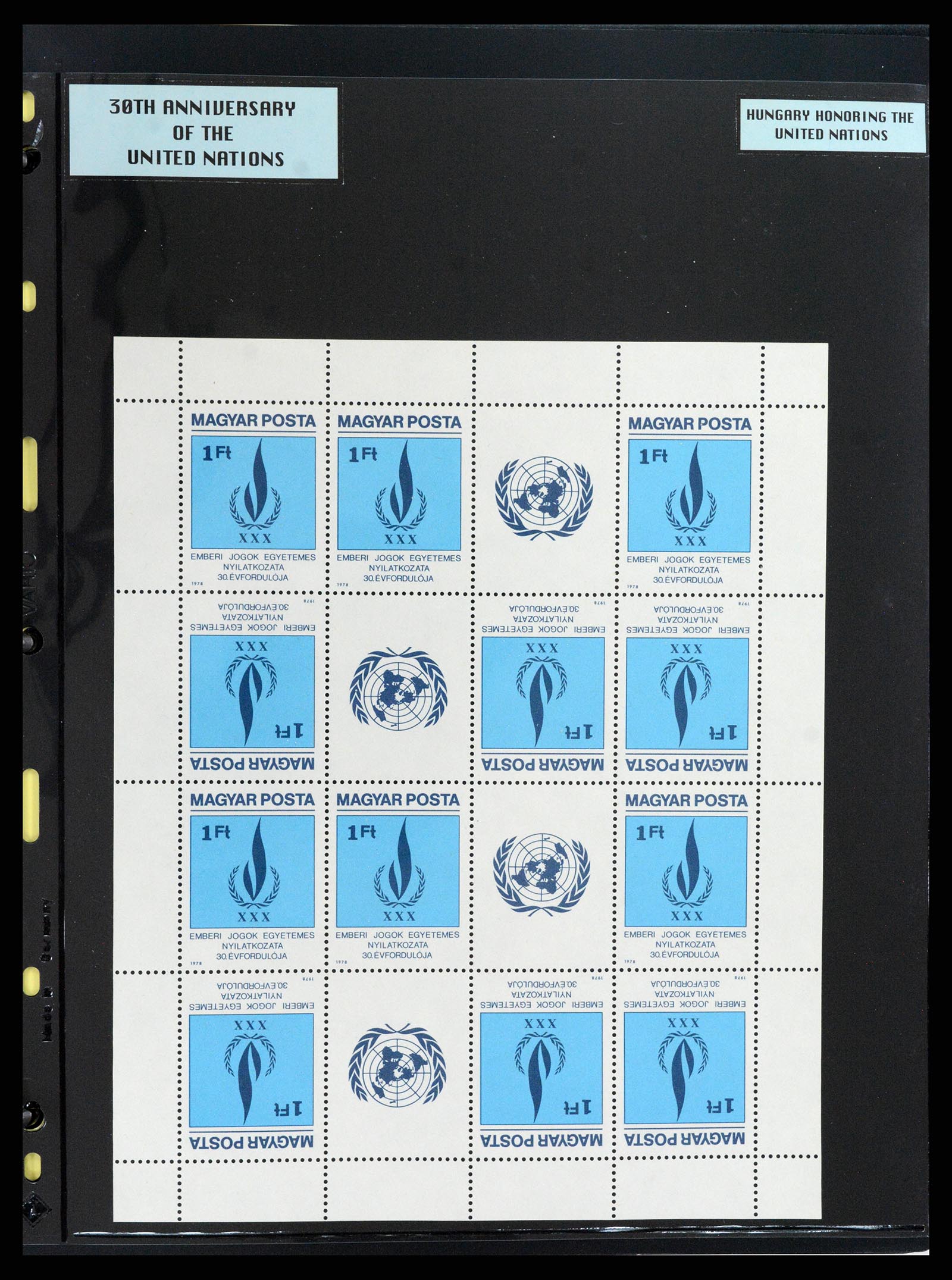 37631 133 - Stamp collection 37631 United Nations cinderella's 1942-2006.
