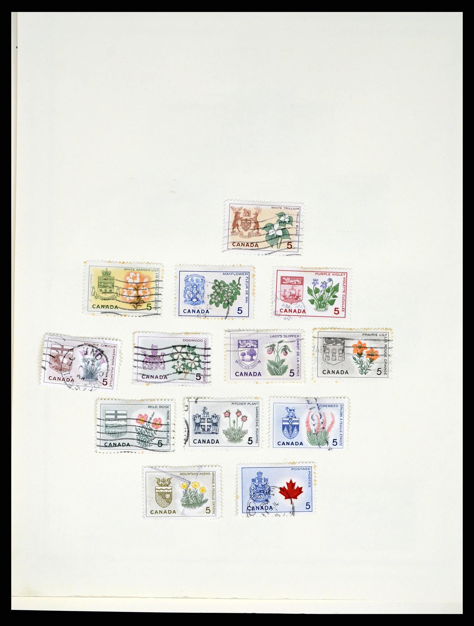 37643 056 - Stamp collection 37643 British colonies 1859-2003.