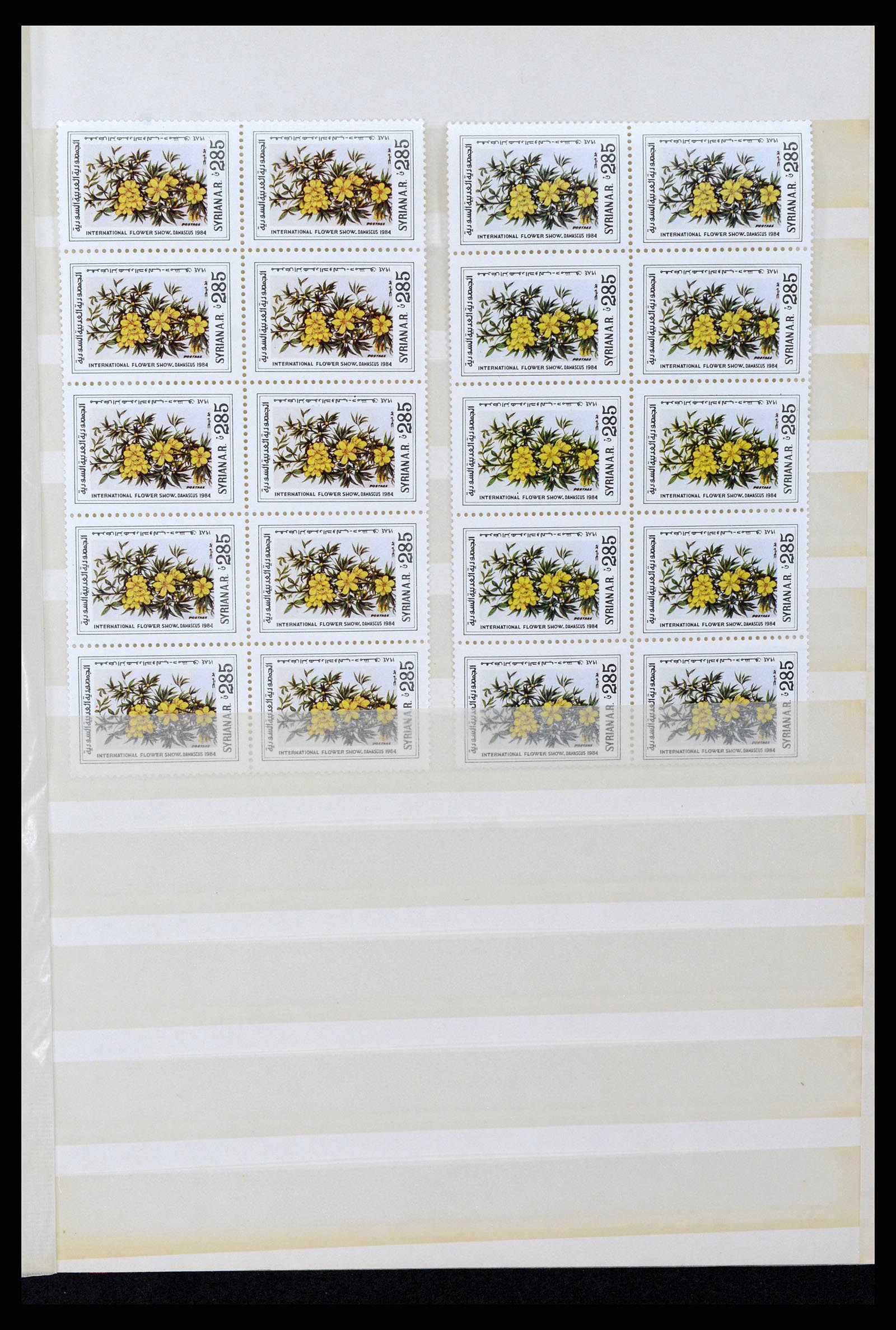 37646 009 - Postzegelverzameling 37646 Syrië 1920-1995.