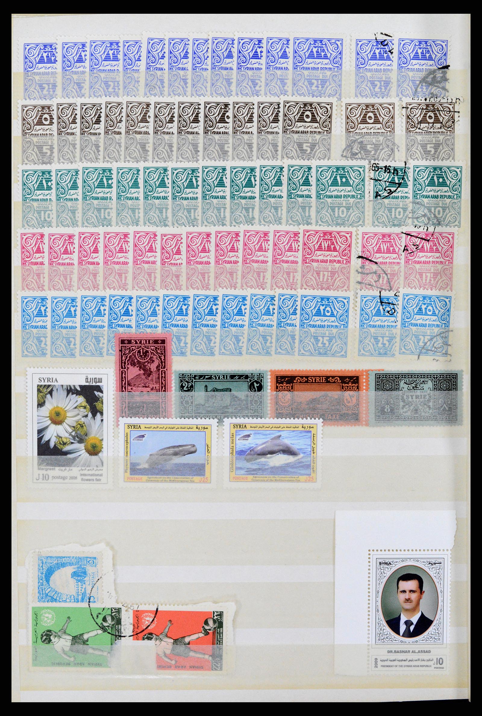 37646 019 - Postzegelverzameling 37646 Syrië 1920-1995.