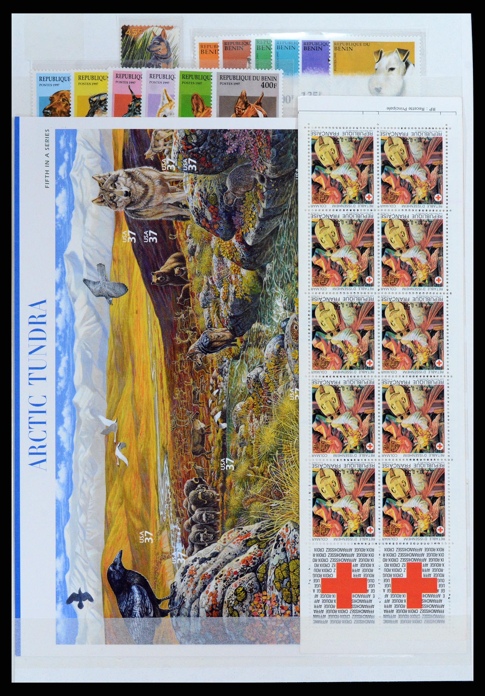 37671 001 - Postzegelverzameling 37671 Motief honden 1950-2010.