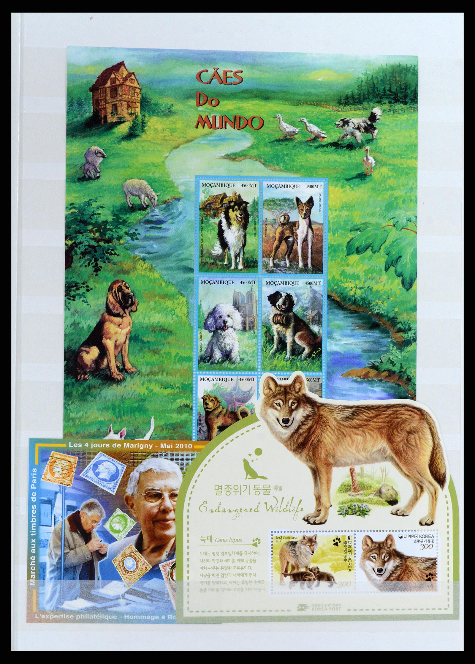 37671 003 - Postzegelverzameling 37671 Motief honden 1950-2010.