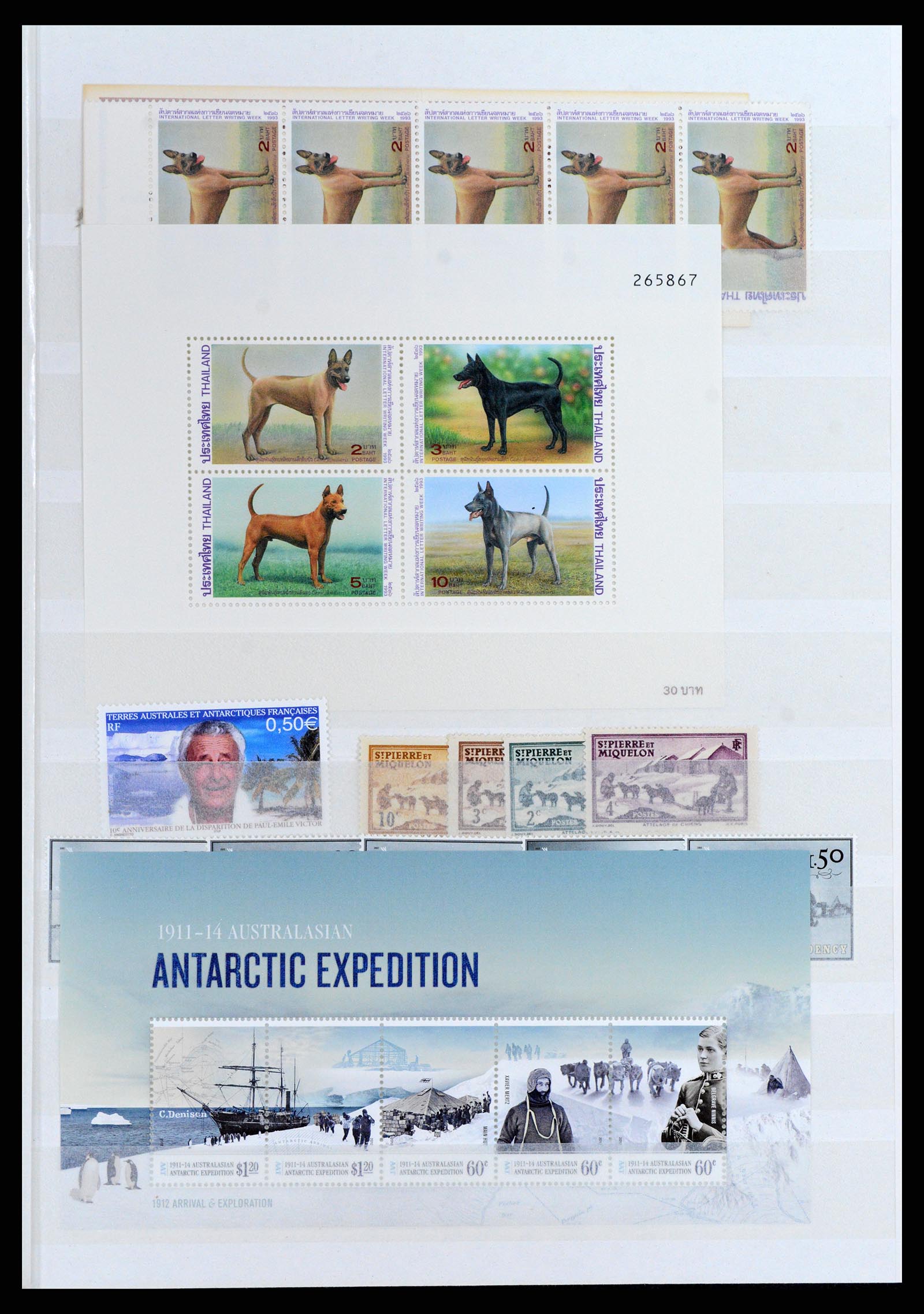 37671 007 - Postzegelverzameling 37671 Motief honden 1950-2010.