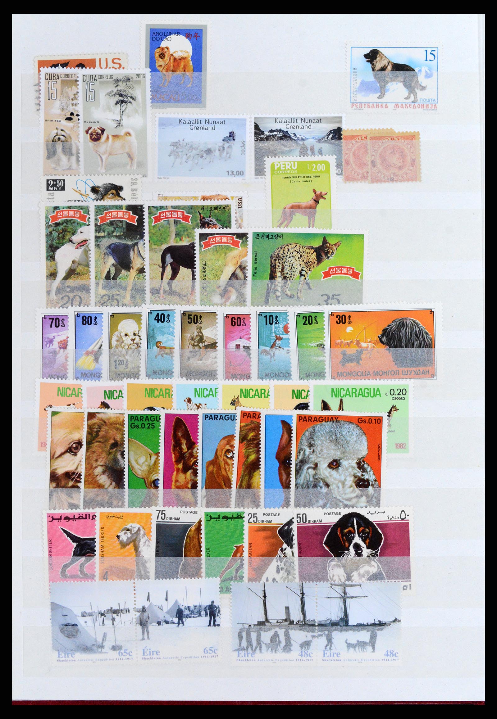 37671 008 - Postzegelverzameling 37671 Motief honden 1950-2010.